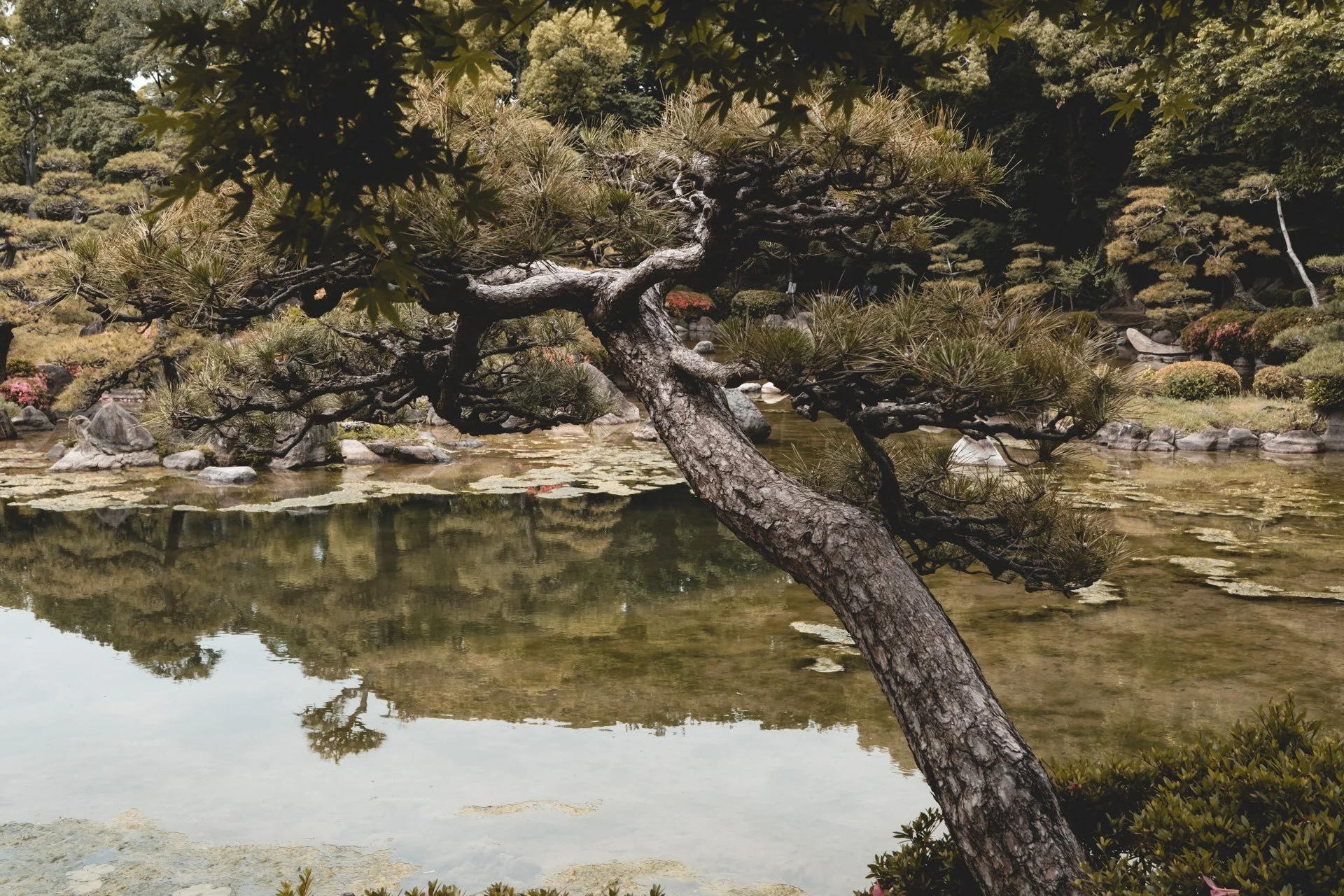 DSCF4480.jpg
