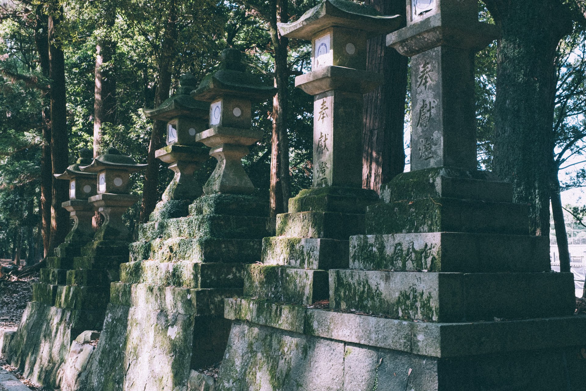 DSCF0330.jpg