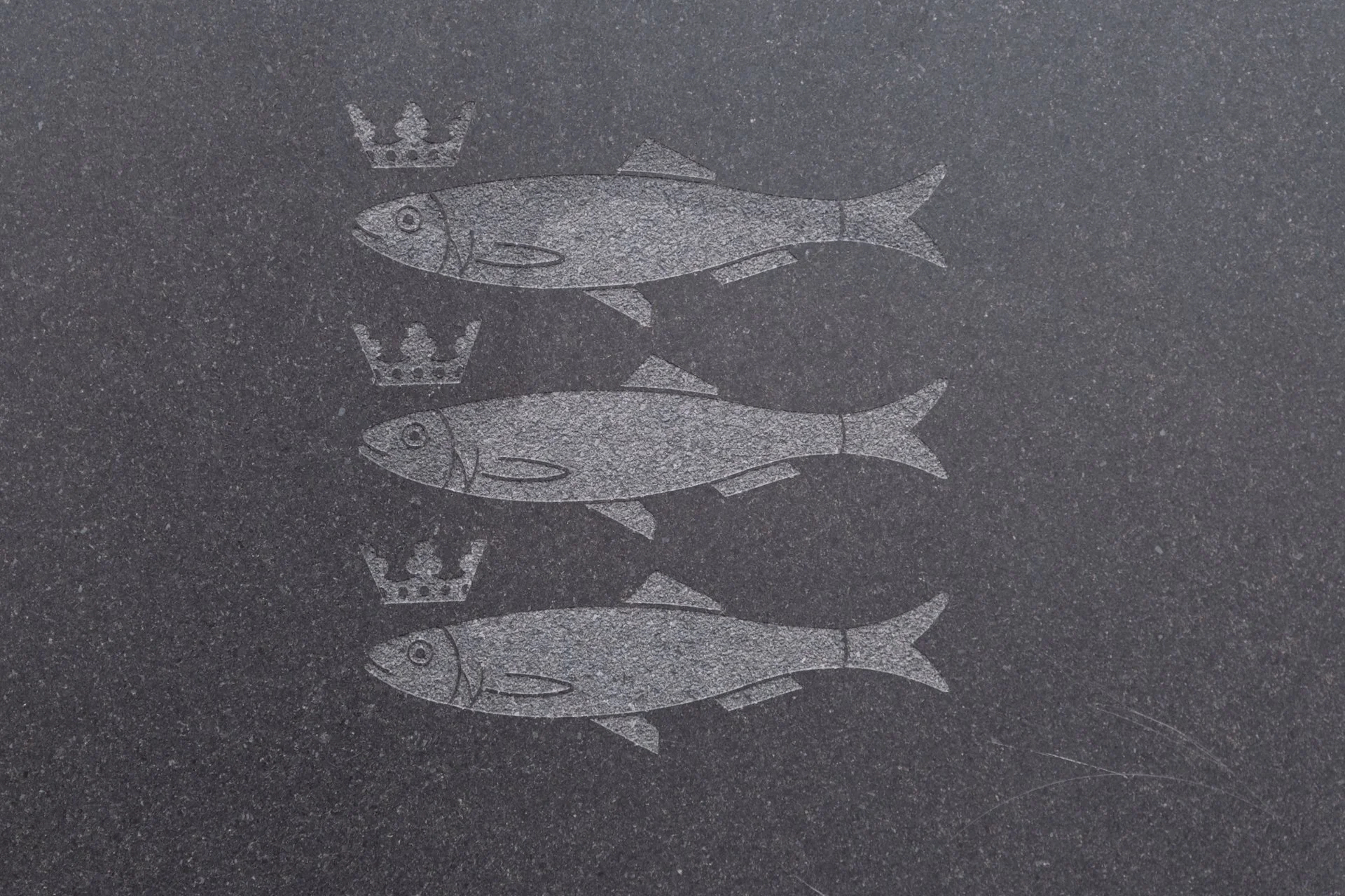 DSCF4457.jpg