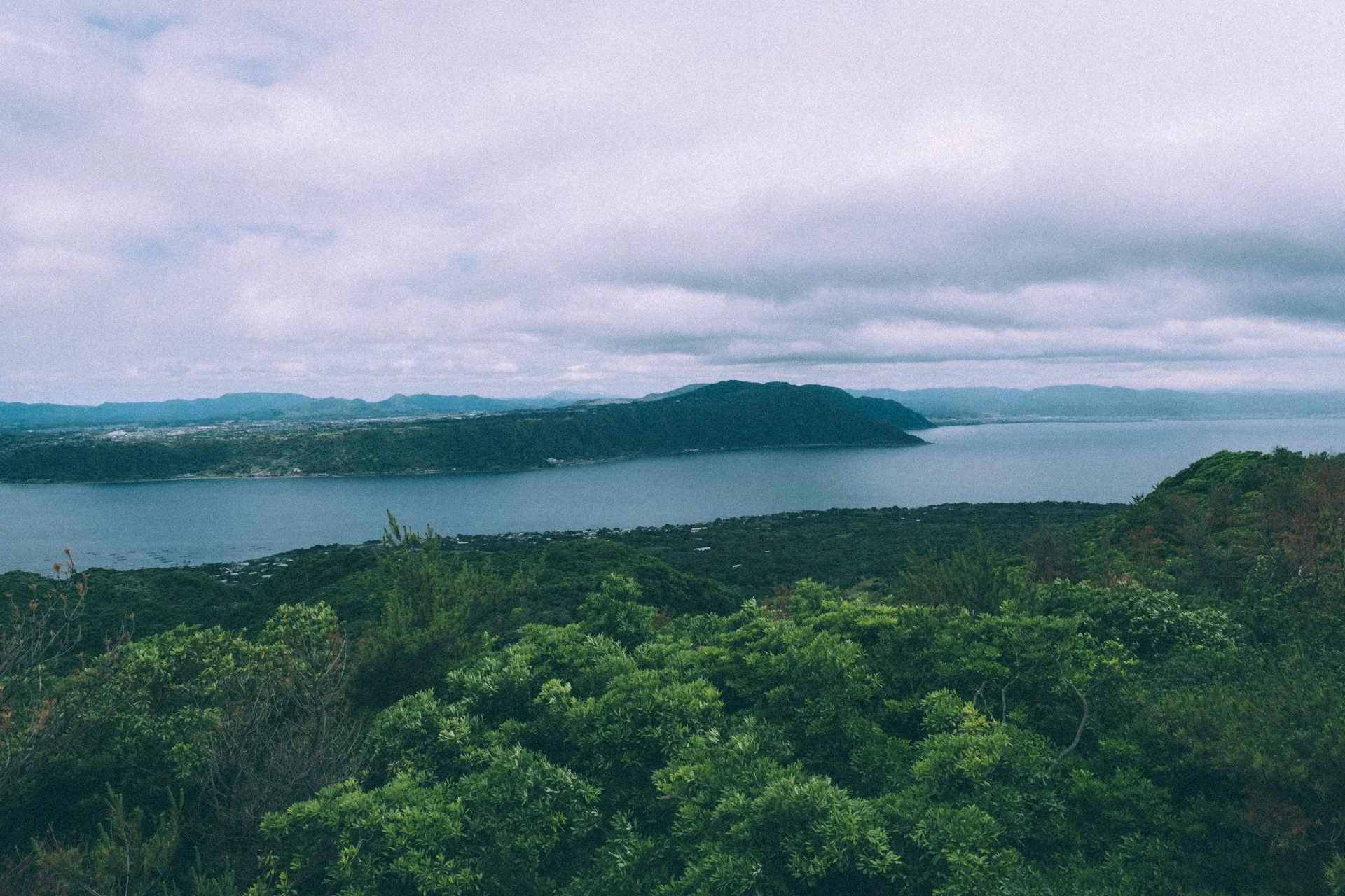 DSCF3603.jpg