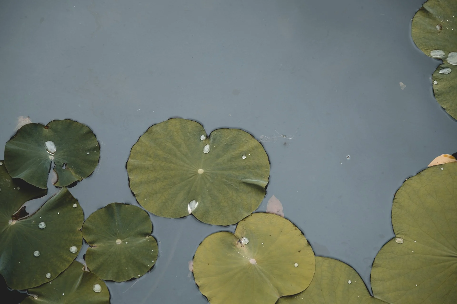 DSCF4372.jpg