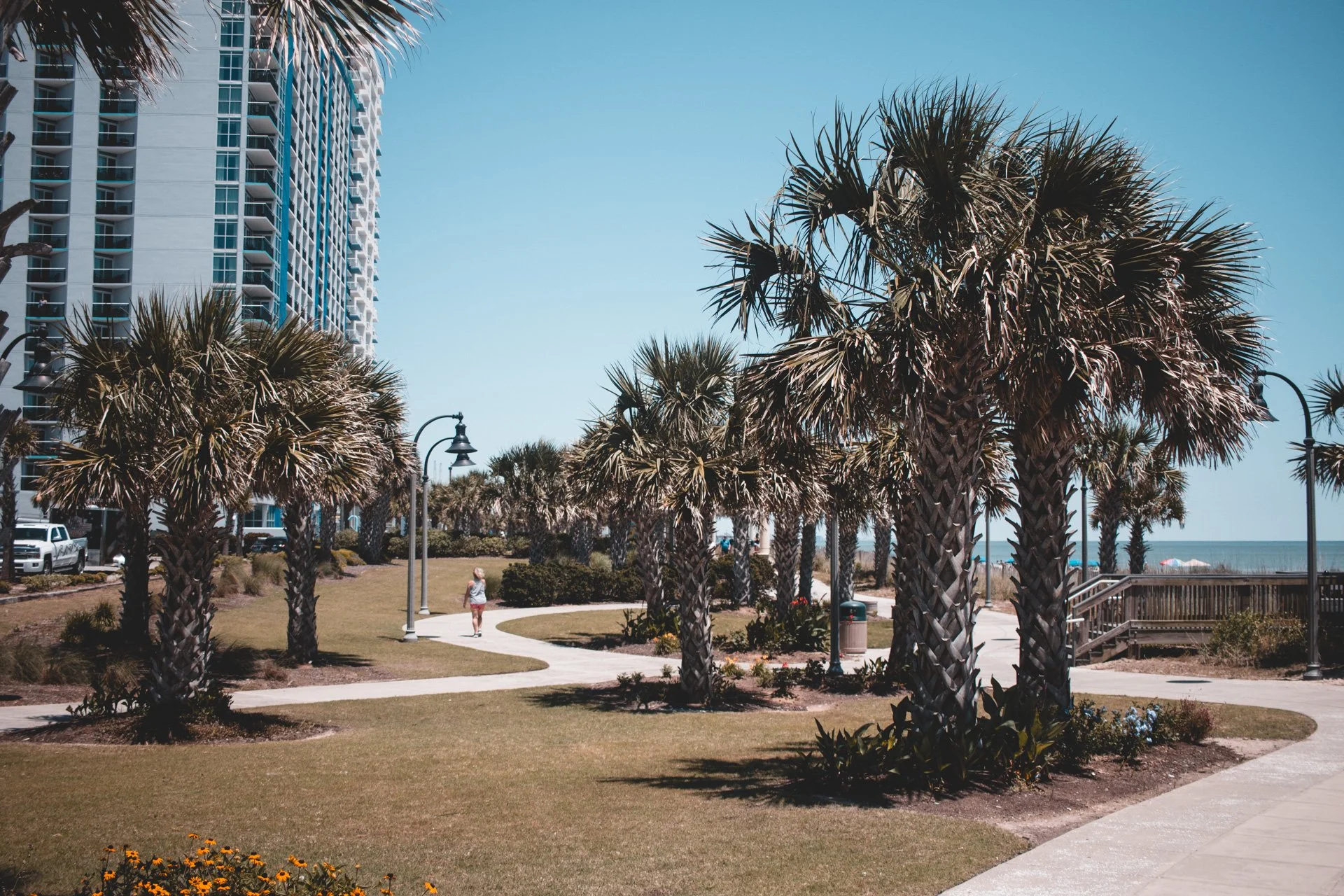myrtle-293.jpg