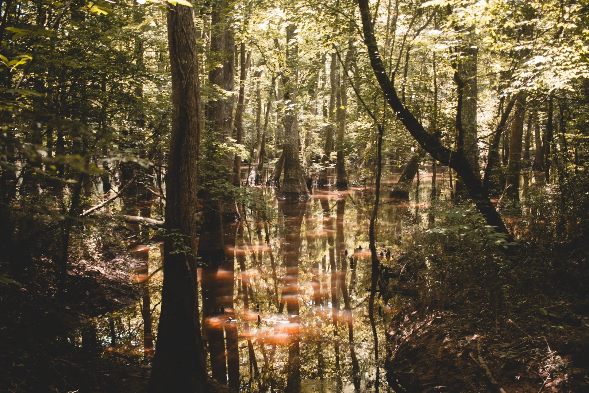 Myrtle Beach, Charleston &amp; Congaree