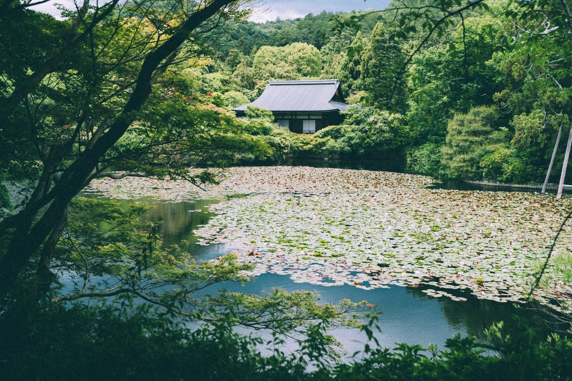 DSCF0159.jpg