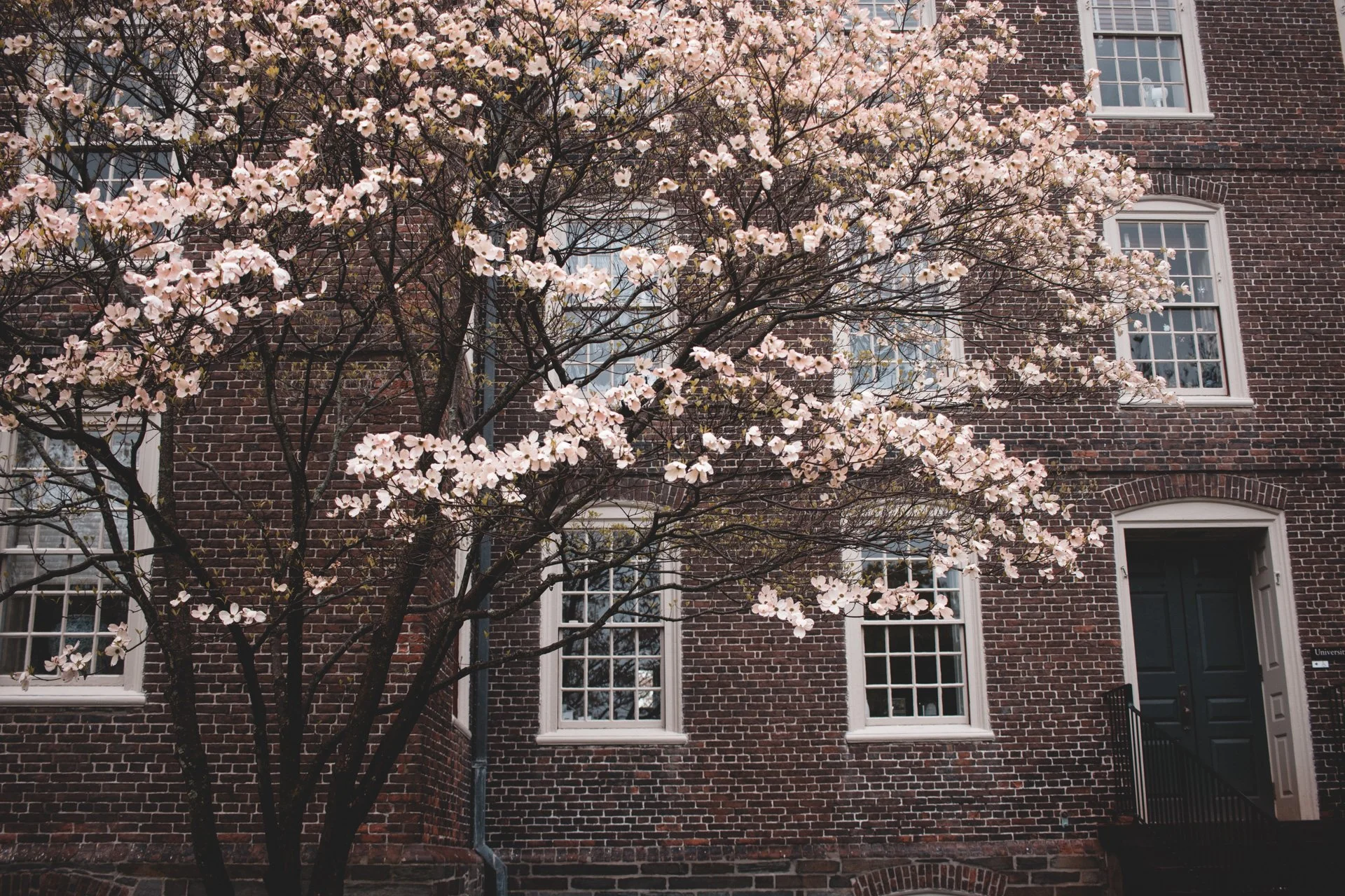 providence-425.jpg