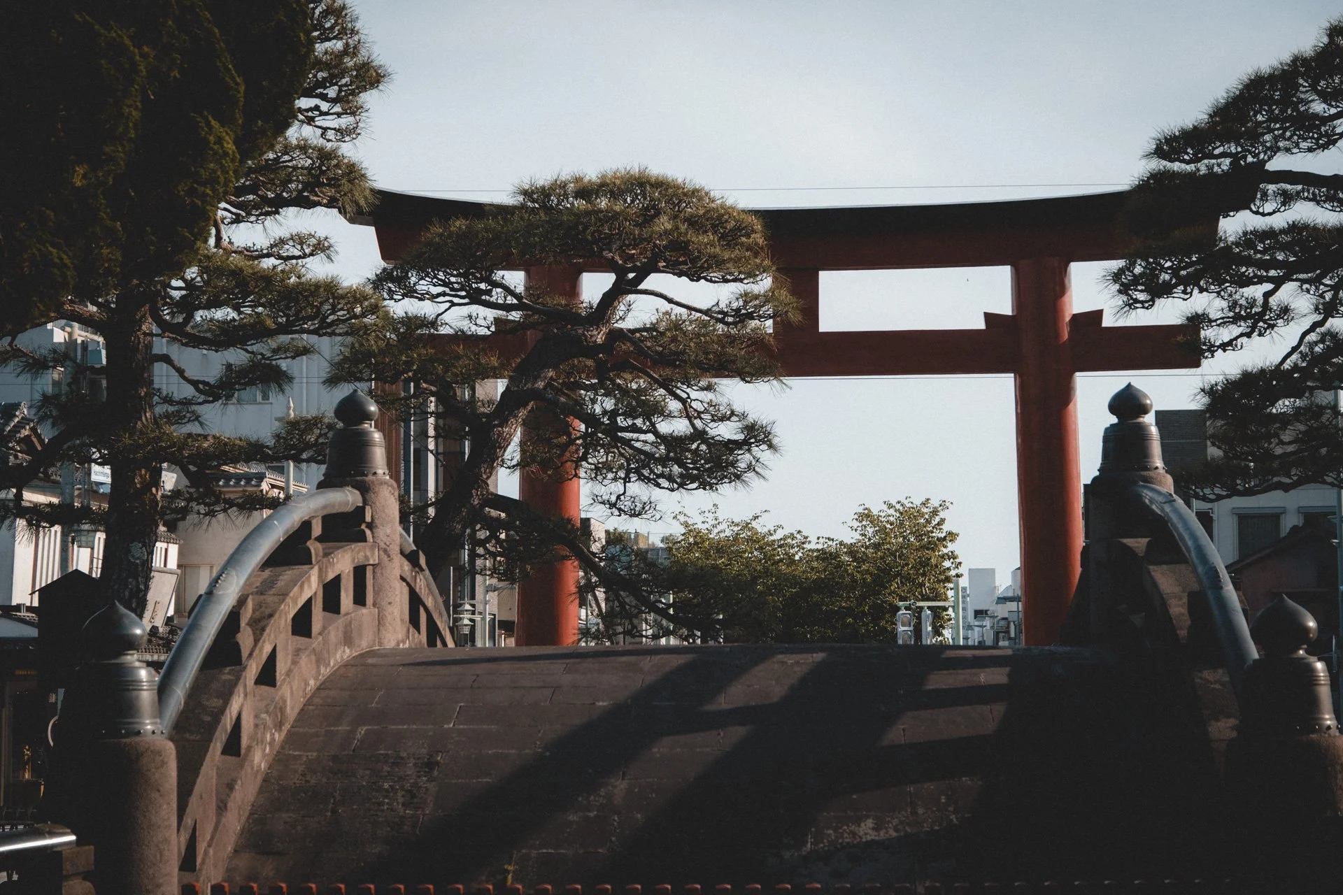 DSCF8818.jpg