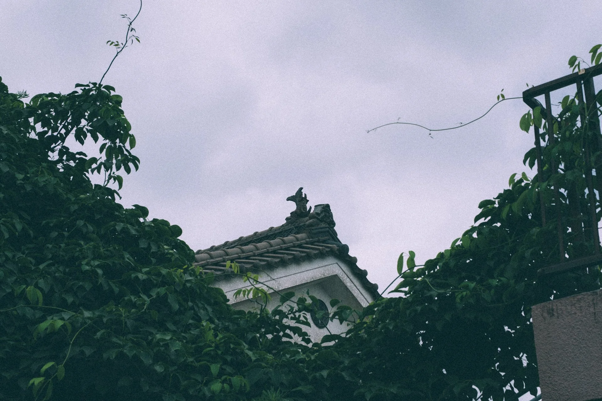 DSCF3680.jpg
