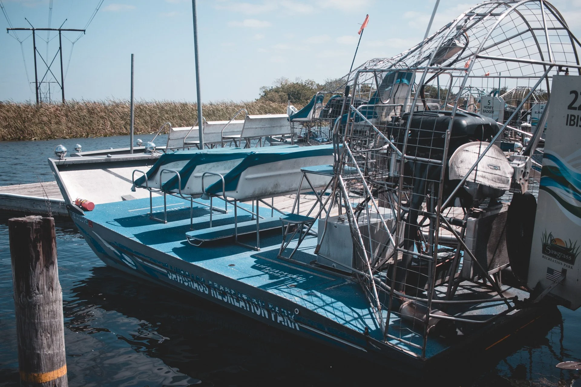 everglades-162.jpg
