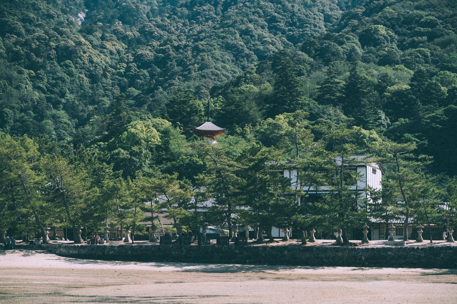 DSCF1809.jpg