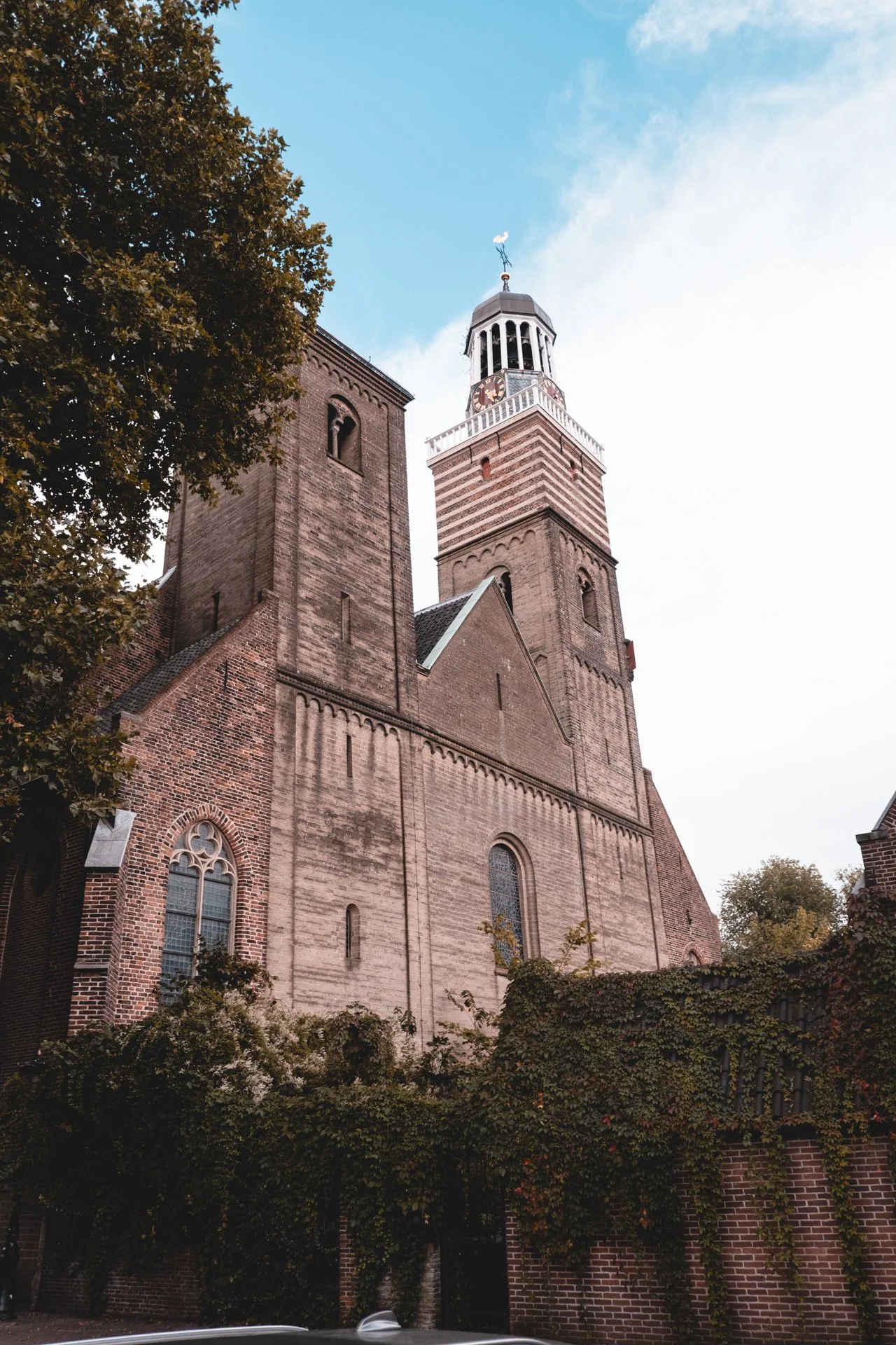 DSCF4920.jpg