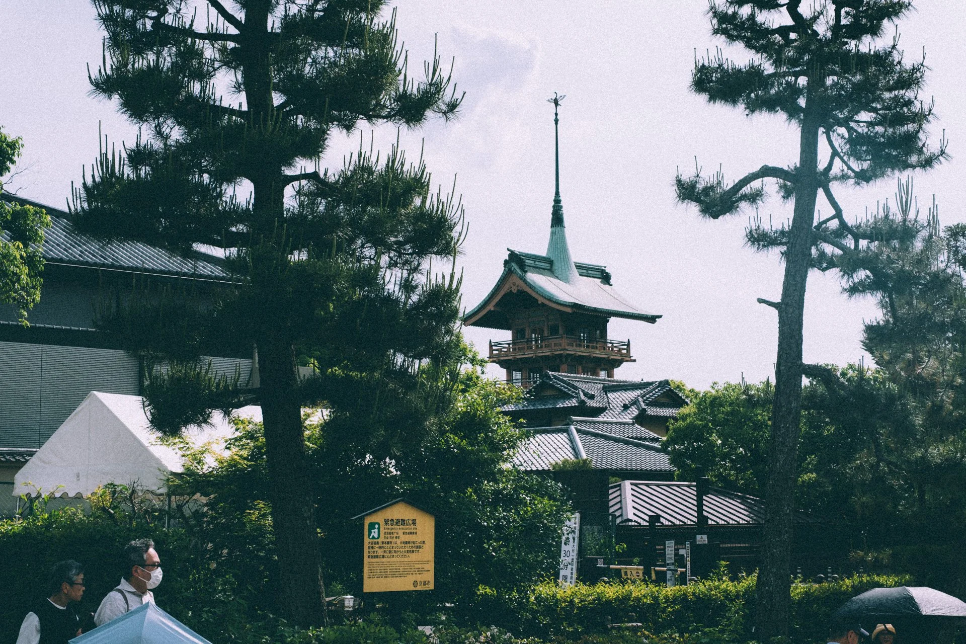 DSCF9578.jpg