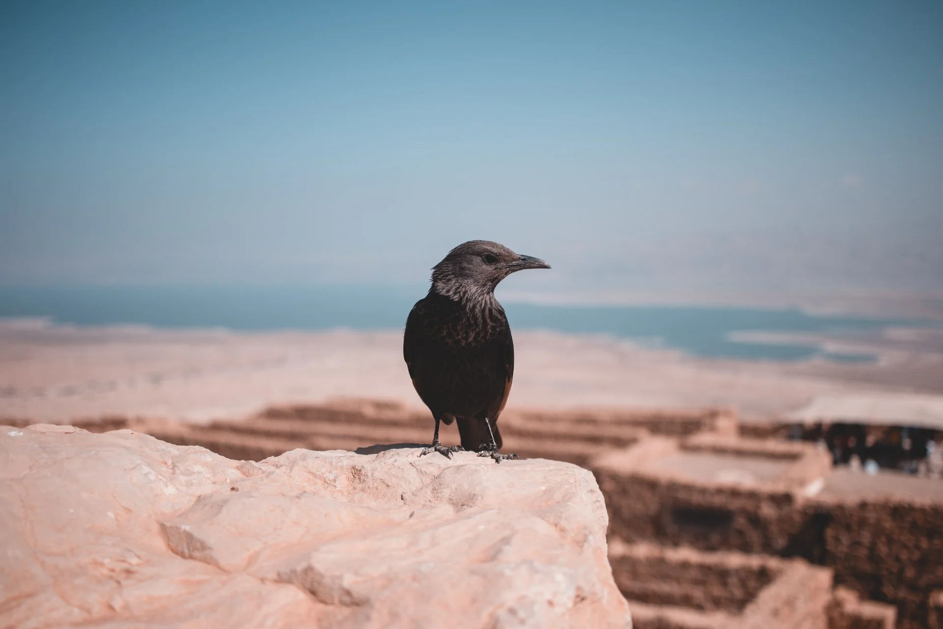 20180228-25364 - israel.jpg