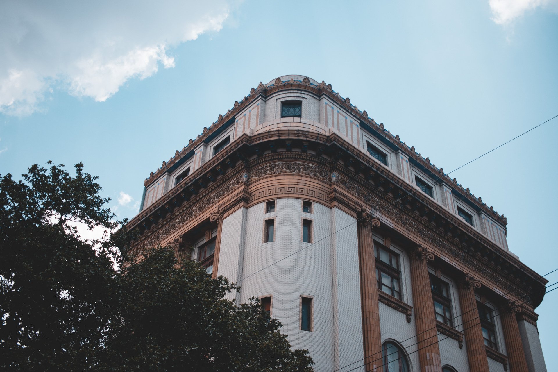 savannah-497.jpg