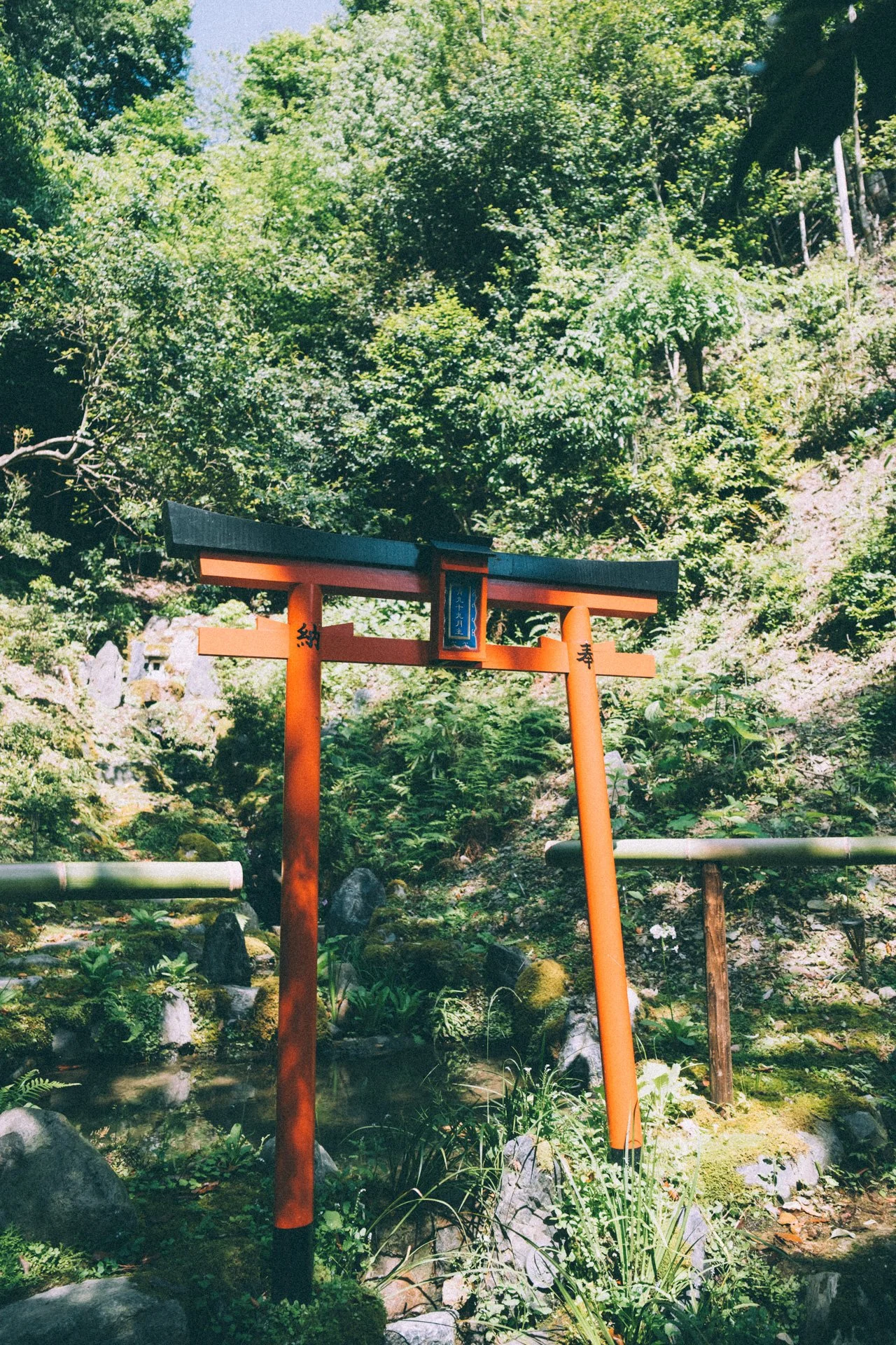 DSCF0737.jpg