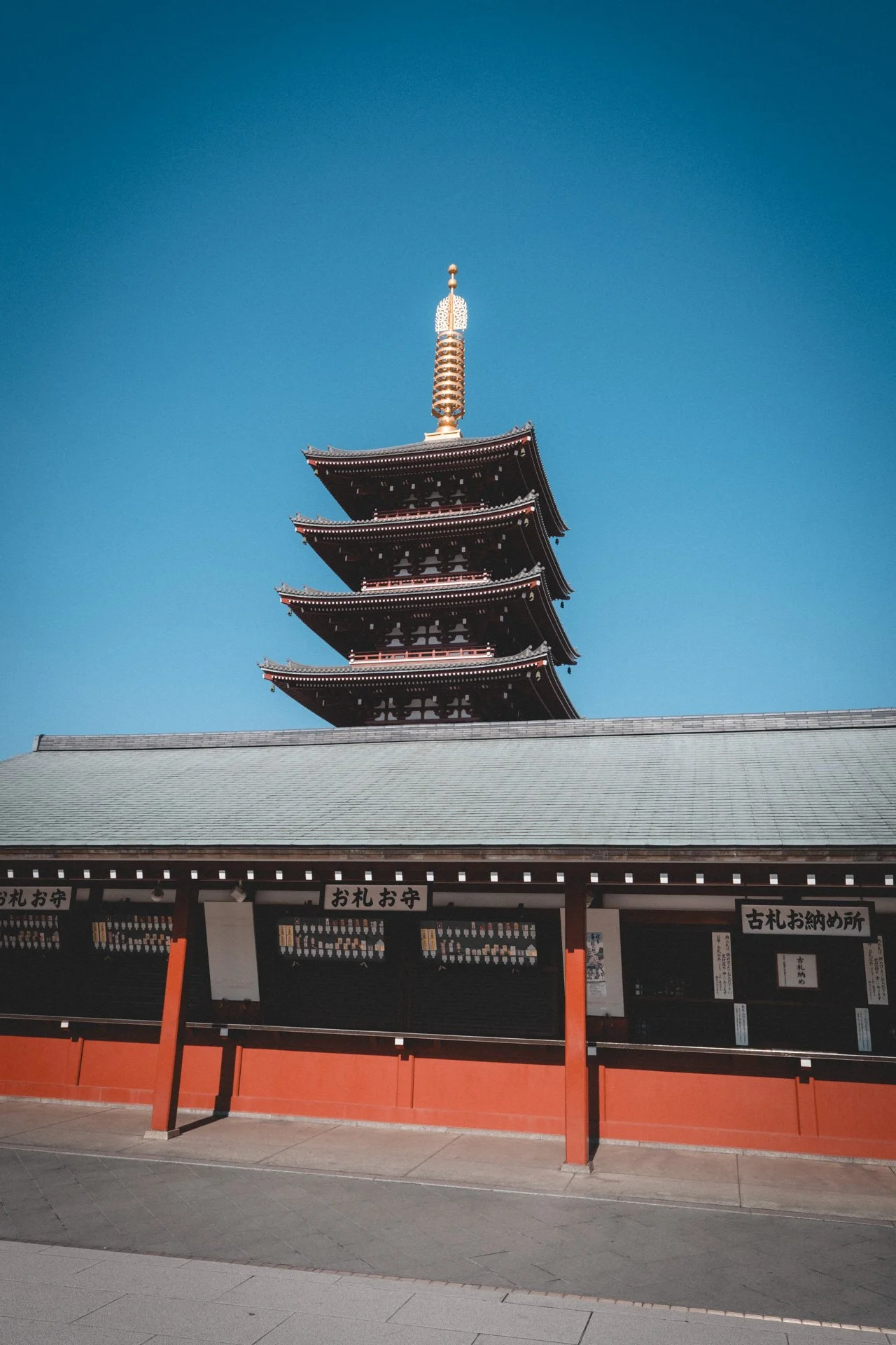 DSCF7391.jpg