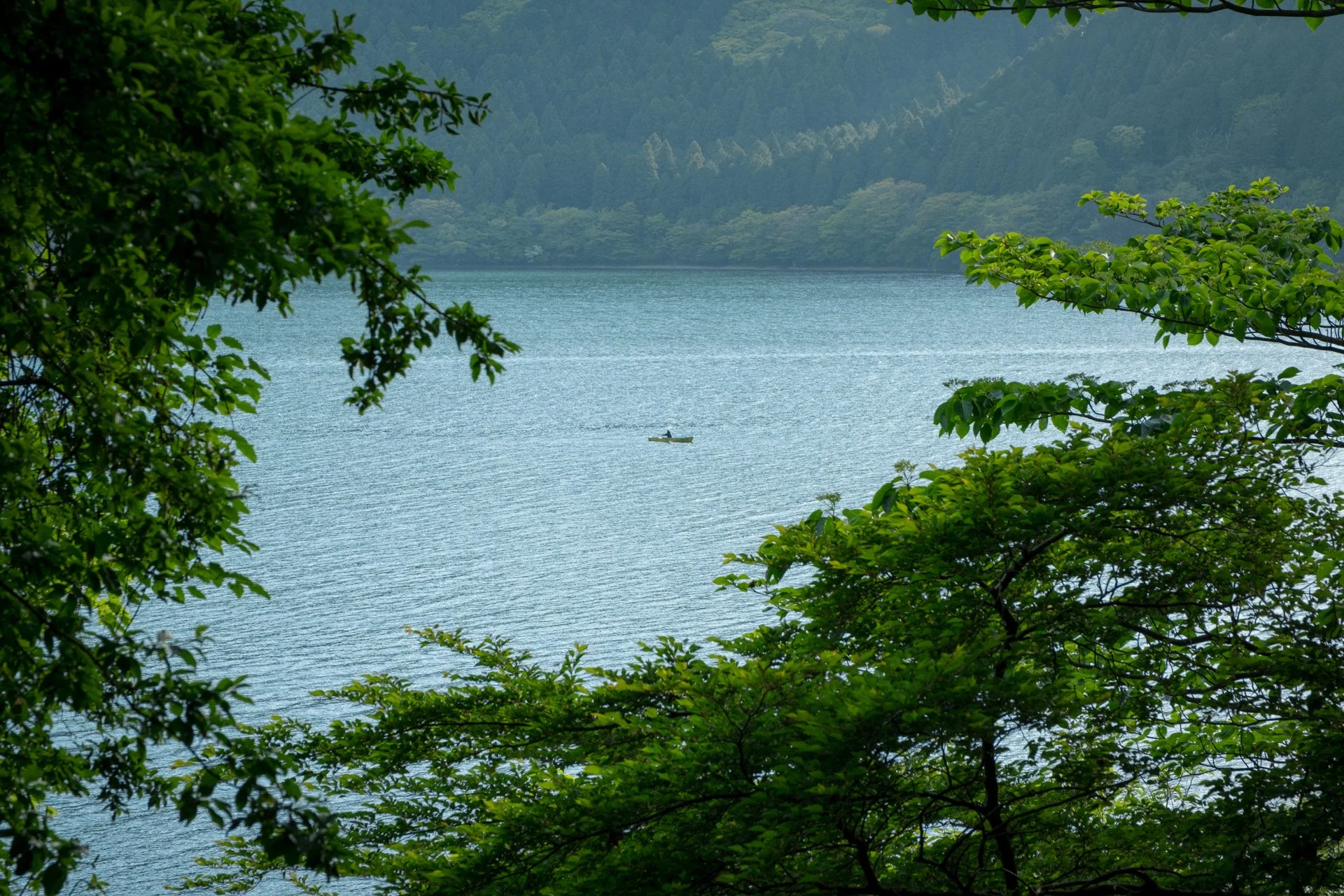 DSCF8901.jpg