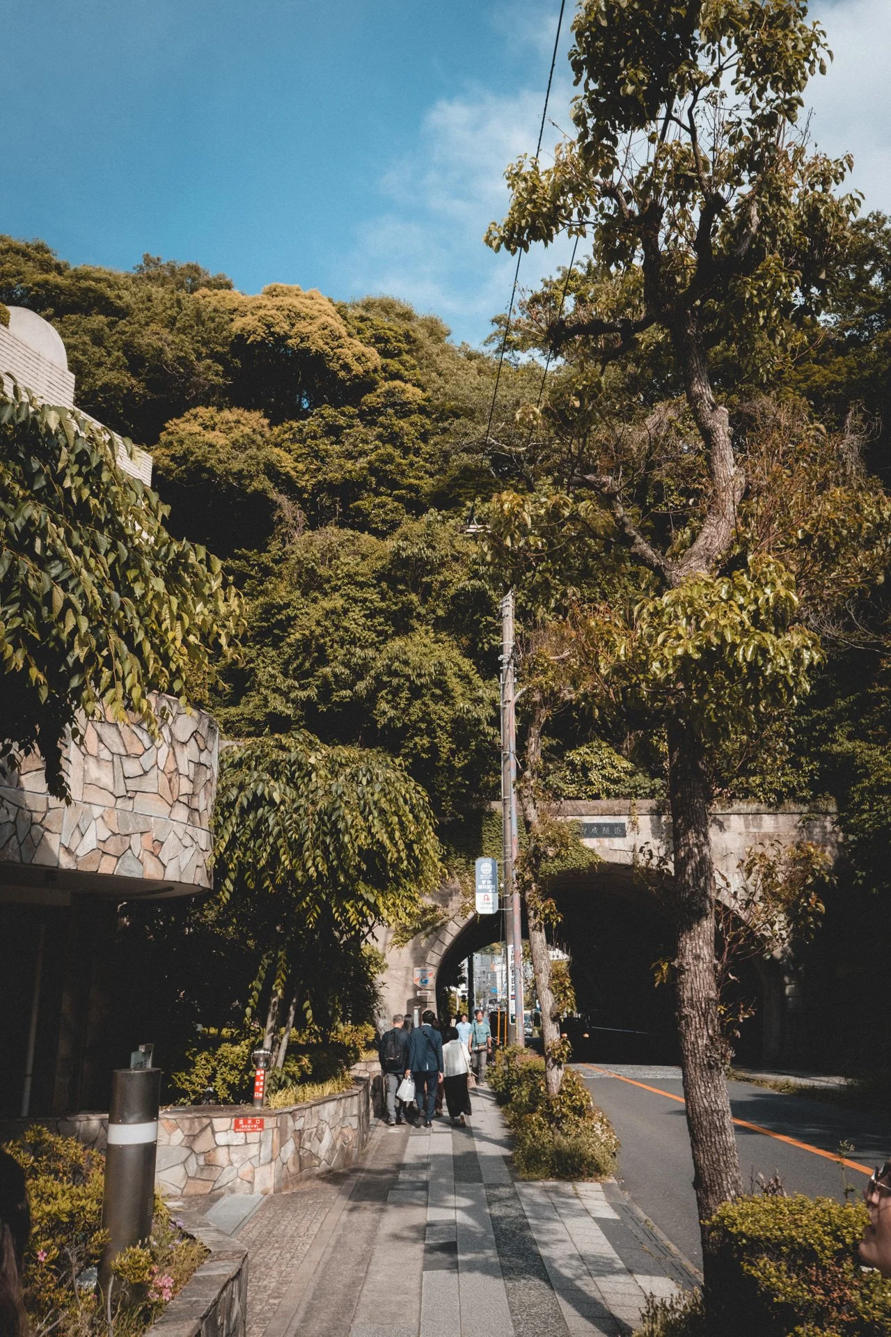 DSCF8754.jpg