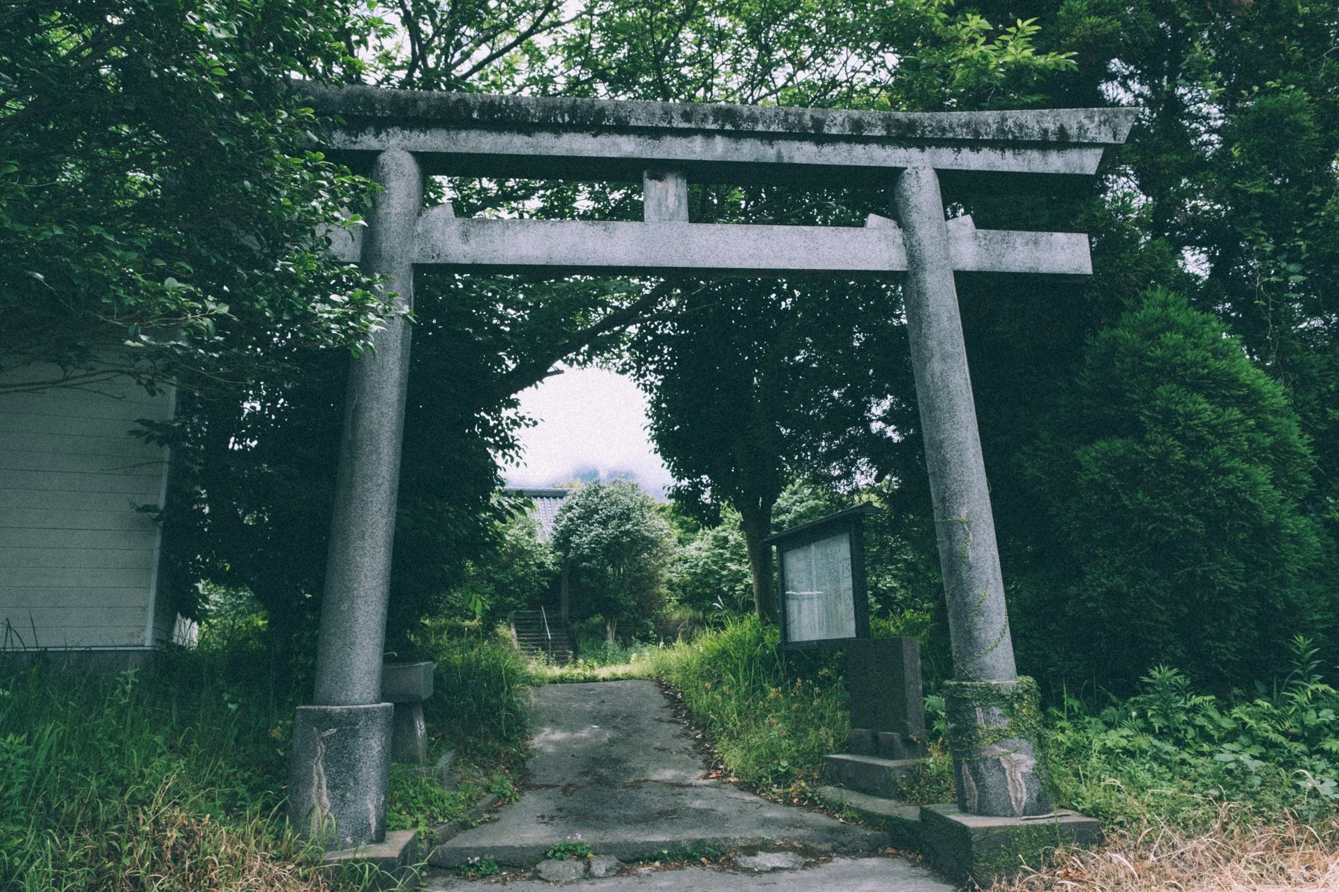 DSCF3660.jpg