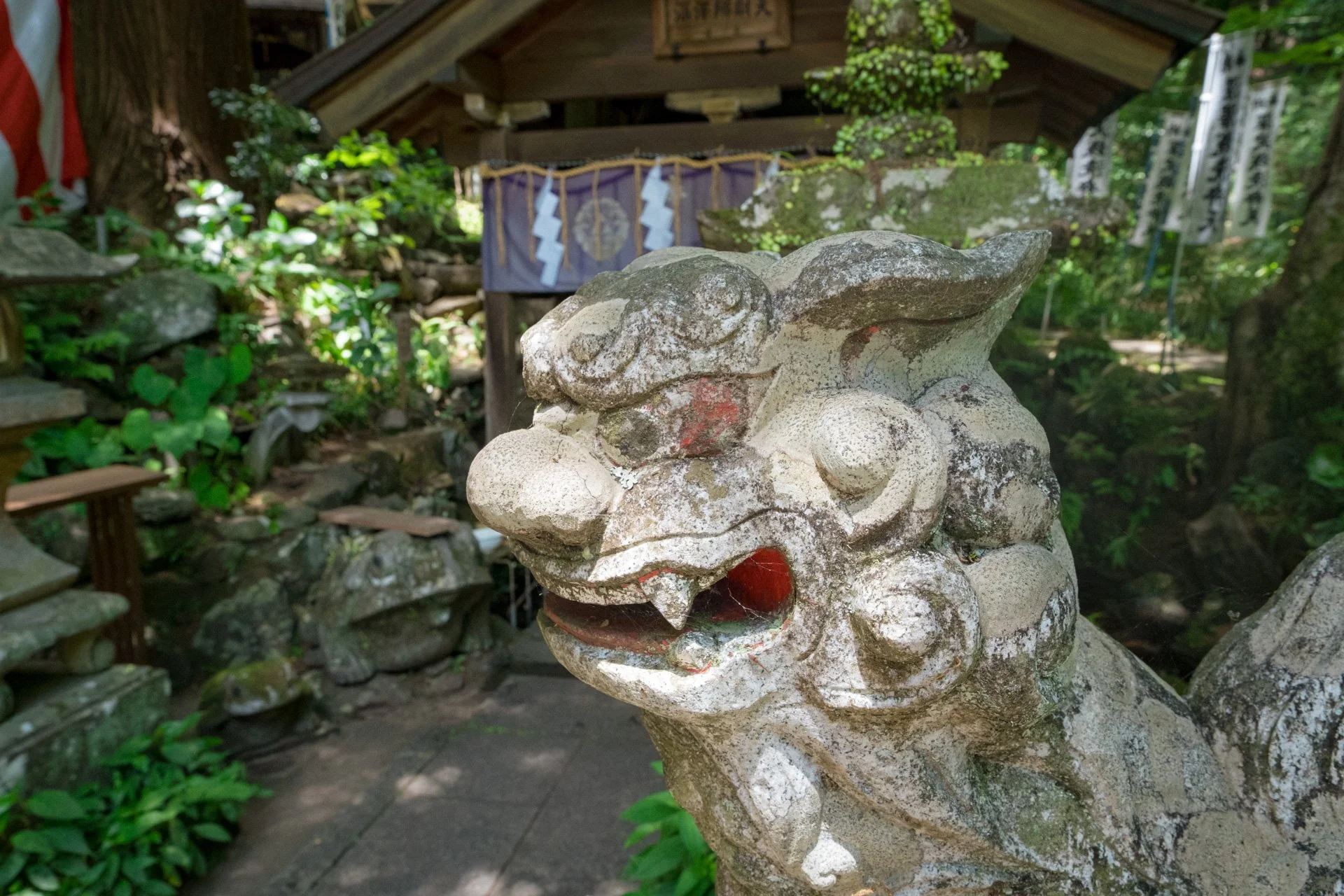 DSCF9048.jpg