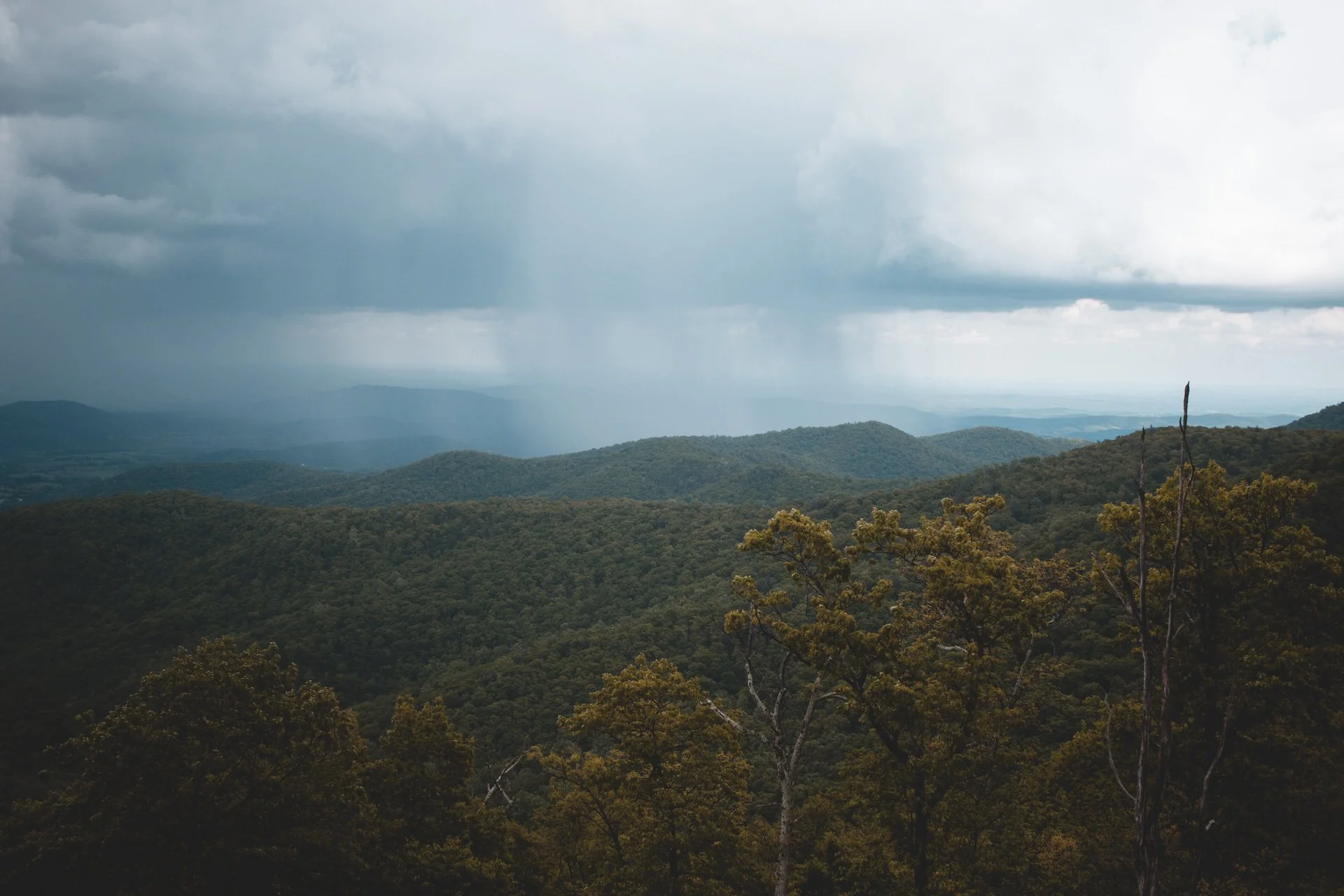 Shenandoah National Park