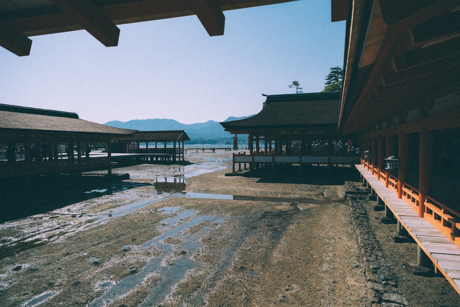 DSCF1832.jpg