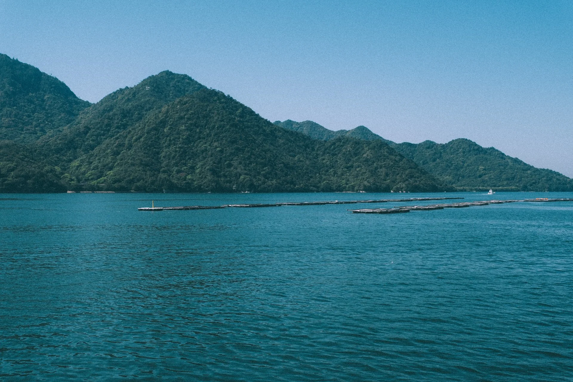 DSCF1475.jpg
