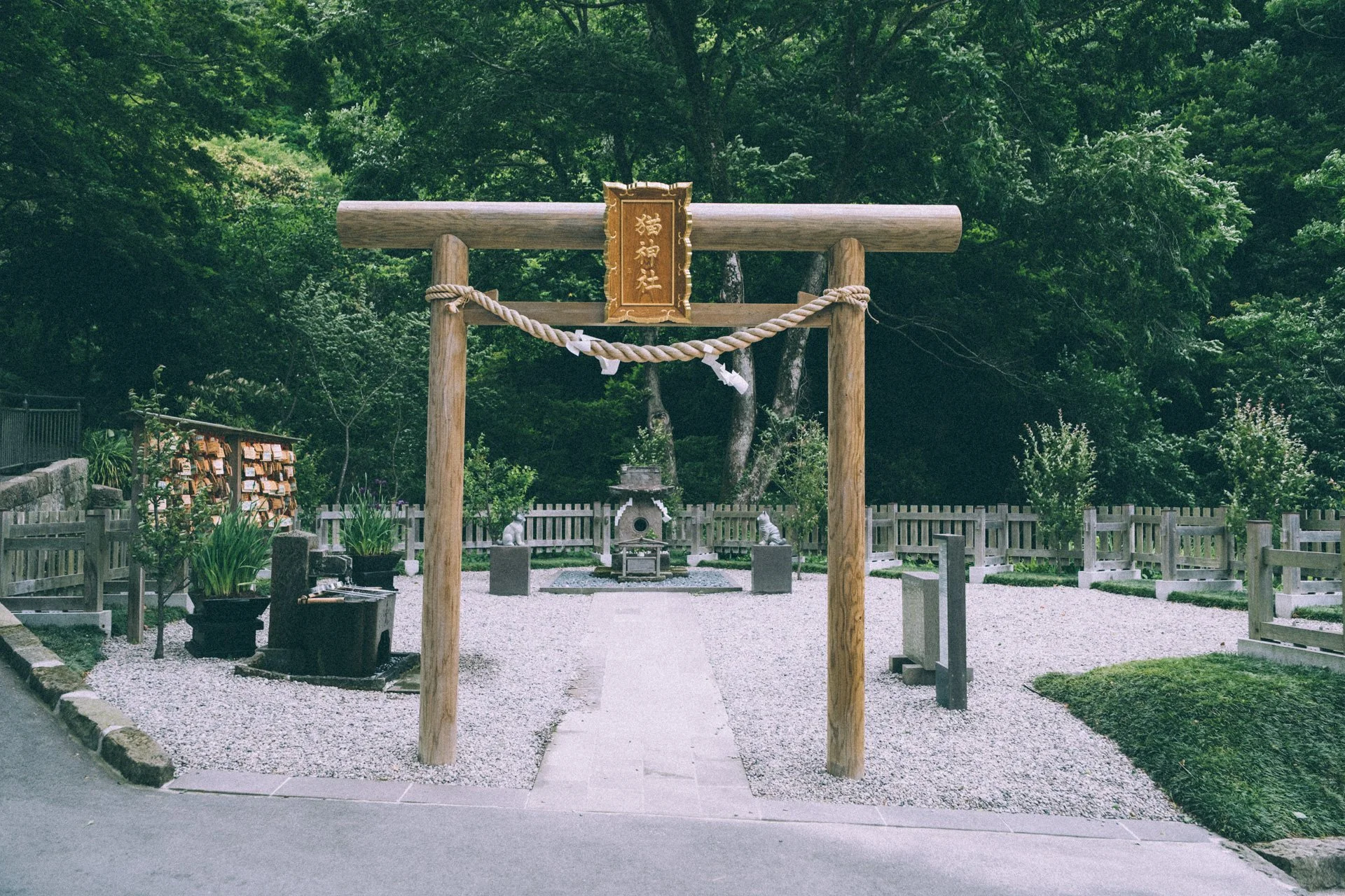 DSCF3850.jpg