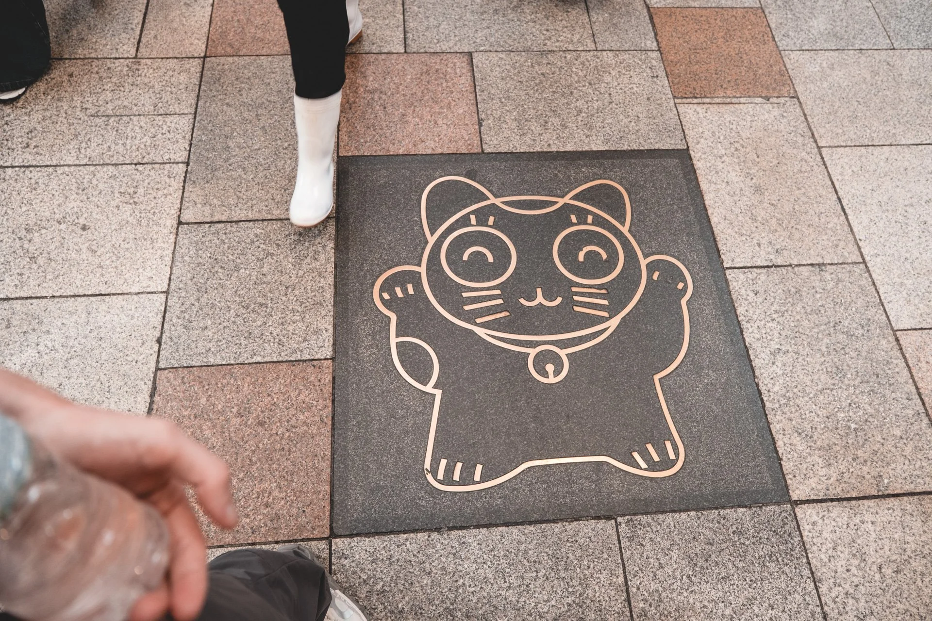 DSCF4593.jpg
