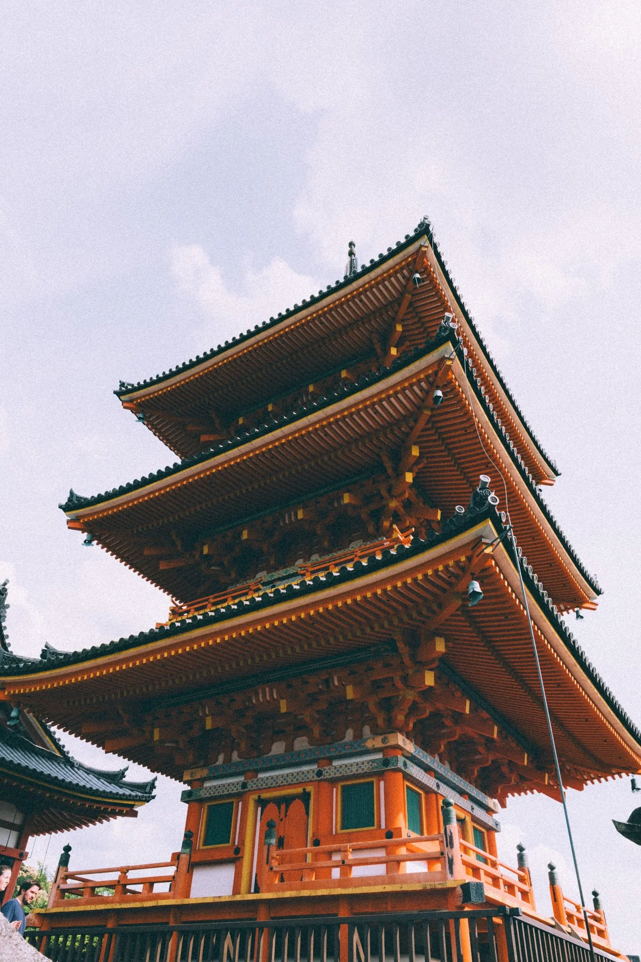 DSCF9657.jpg