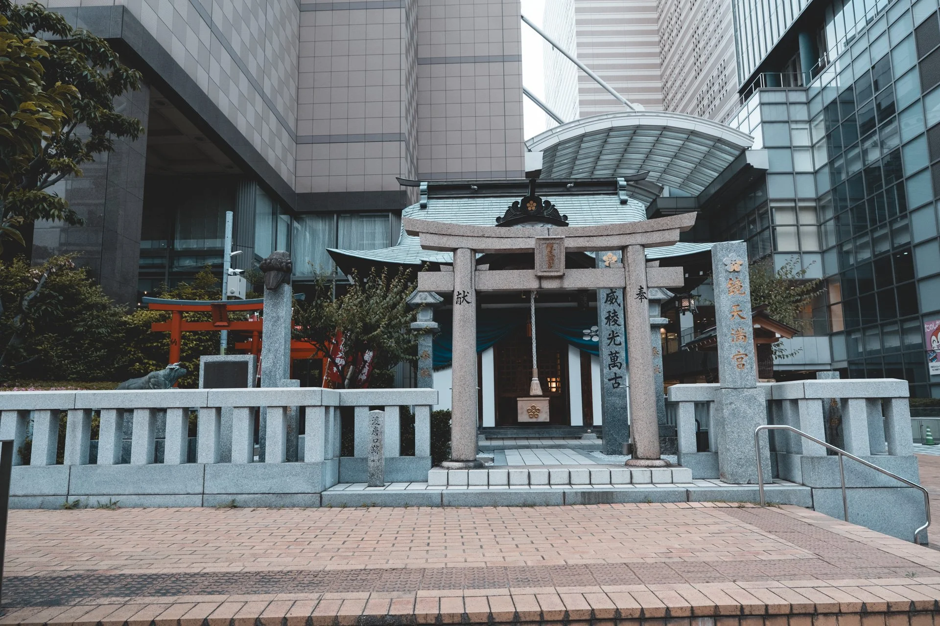 DSCF2115.jpg