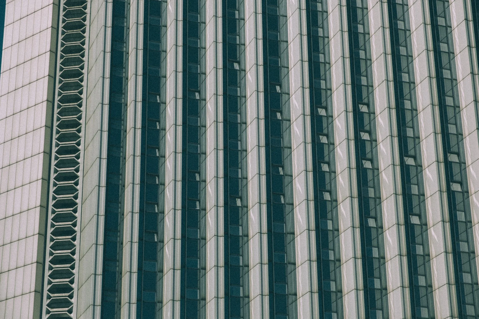 DSCF0369.jpg