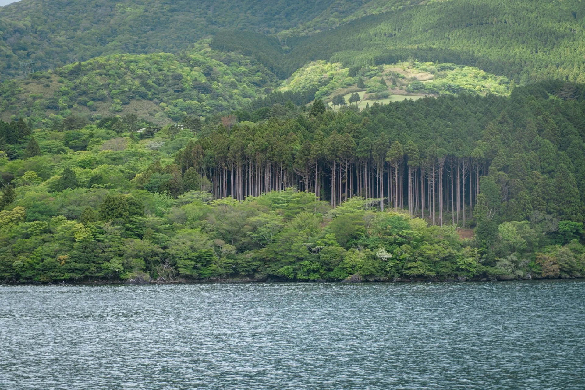 DSCF9298.jpg