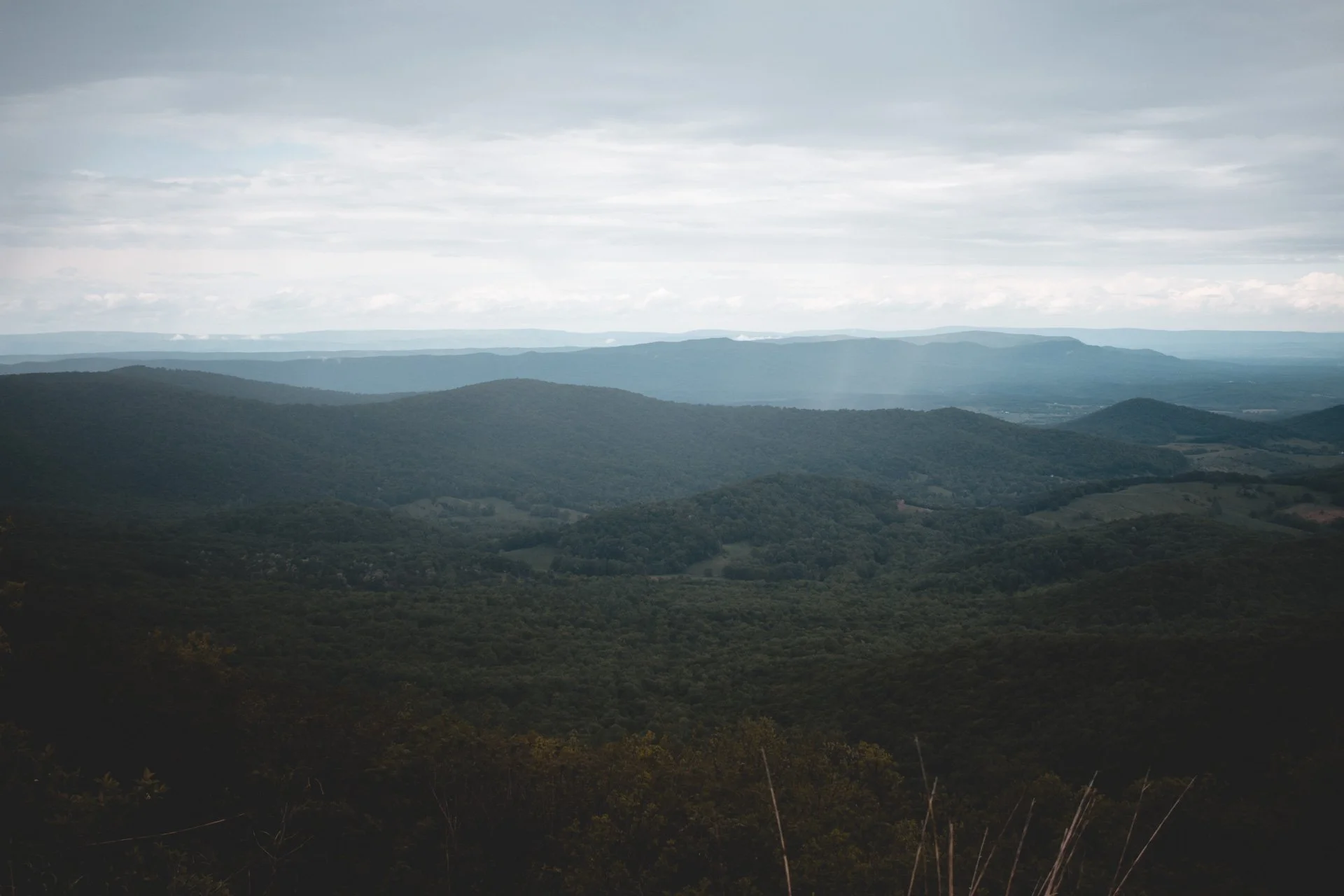 shenandoah-504.jpg