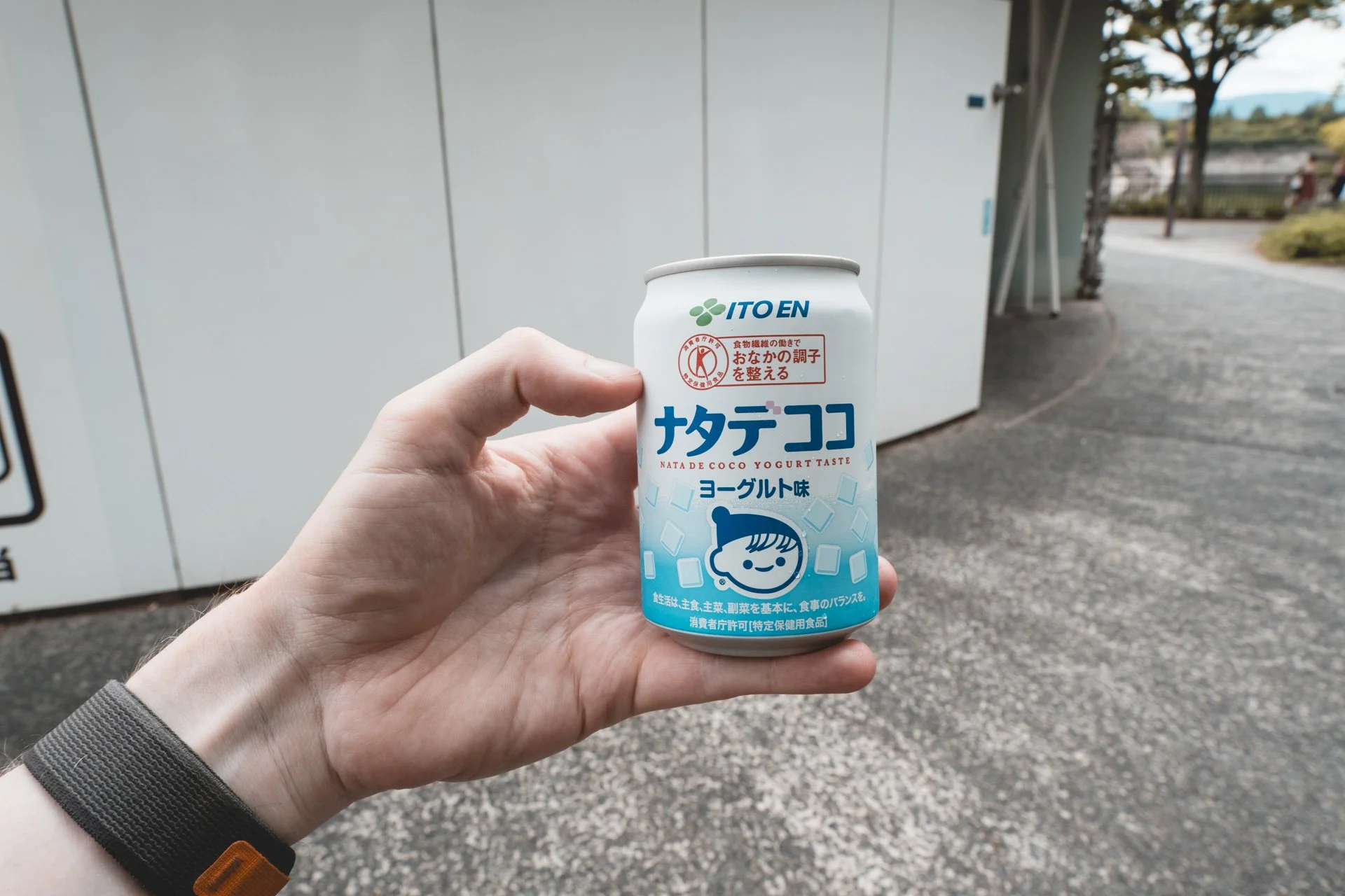 DSCF4331.jpg