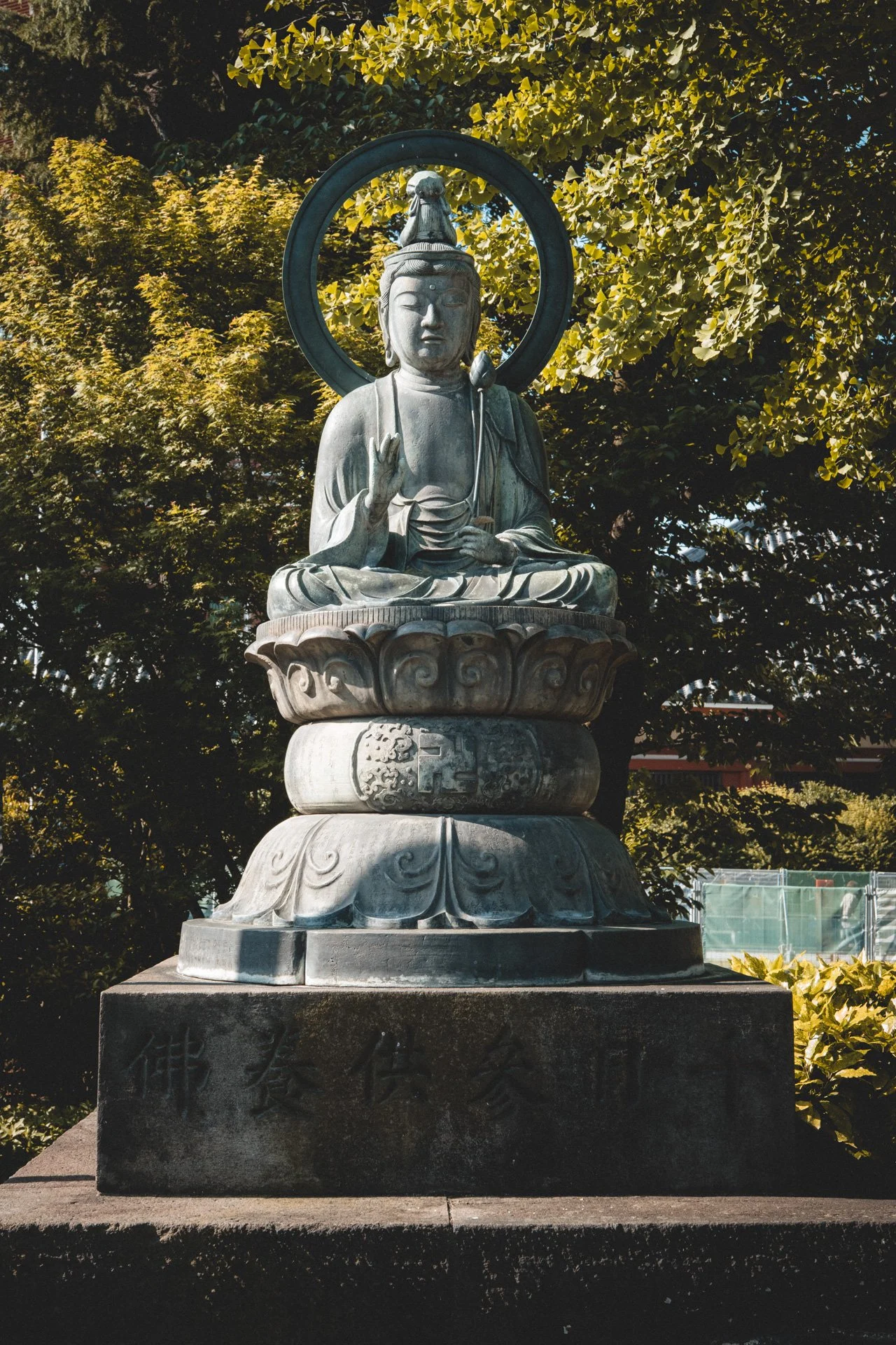 DSCF7428.jpg