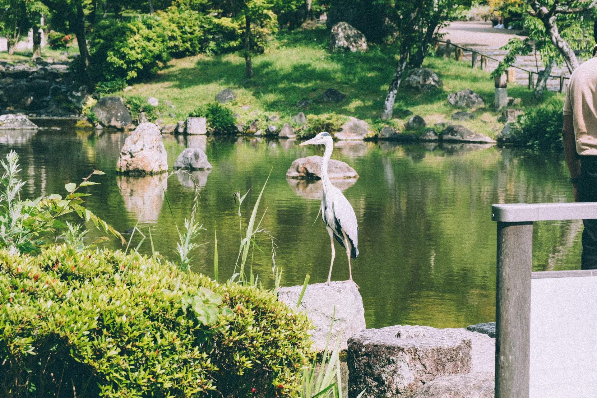 DSCF9572.jpg