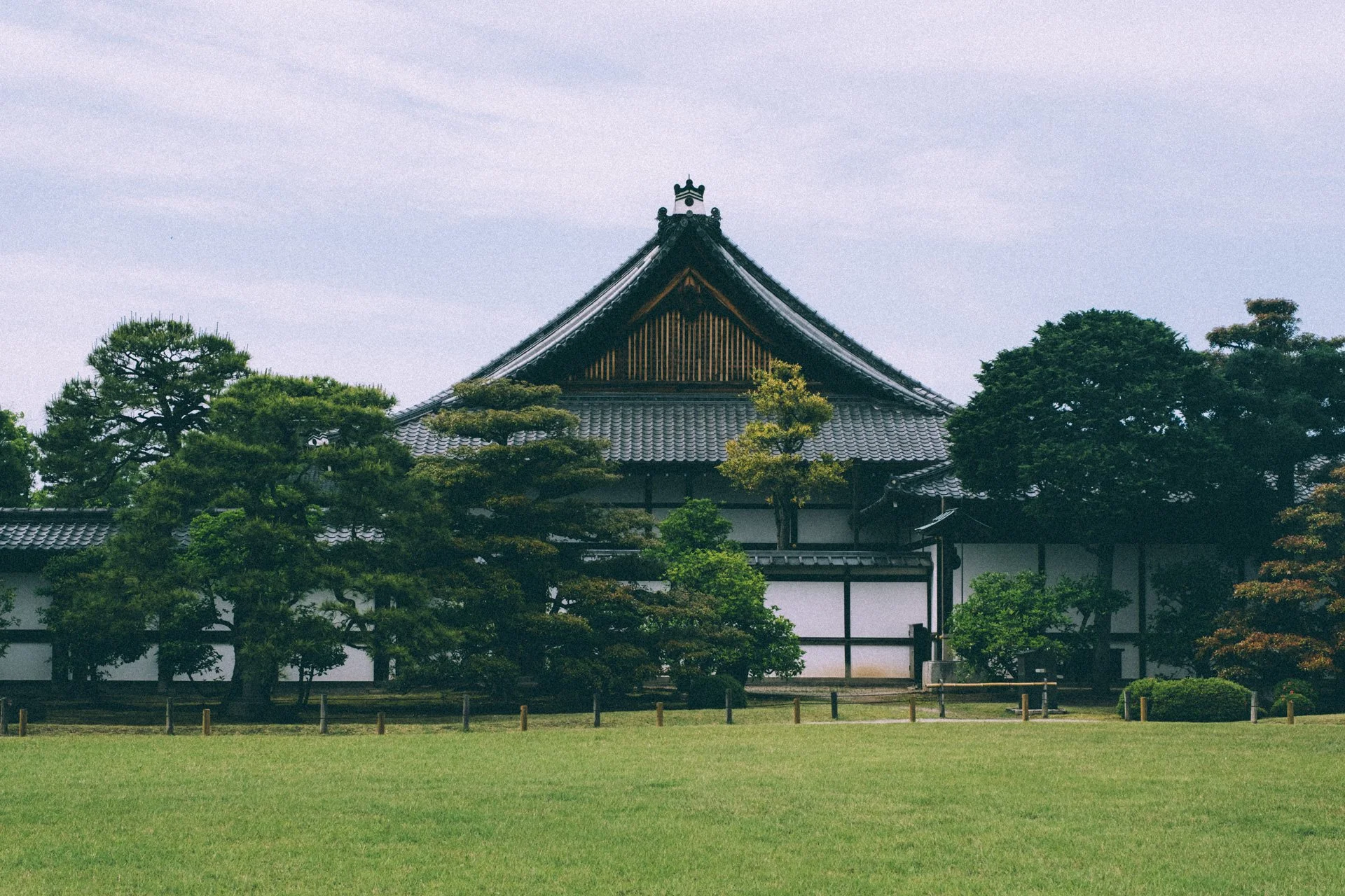 DSCF0229.jpg
