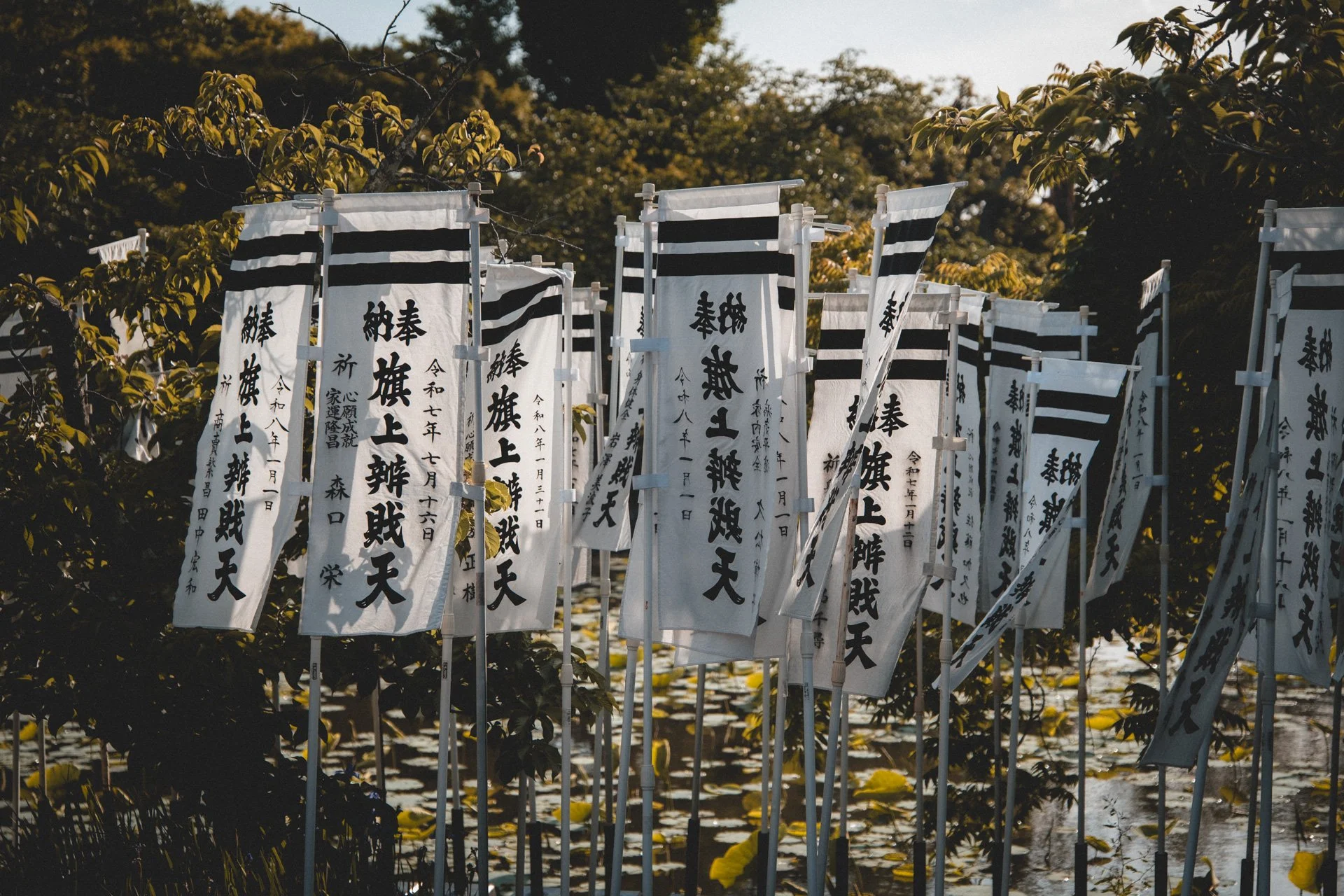 DSCF8795.jpg
