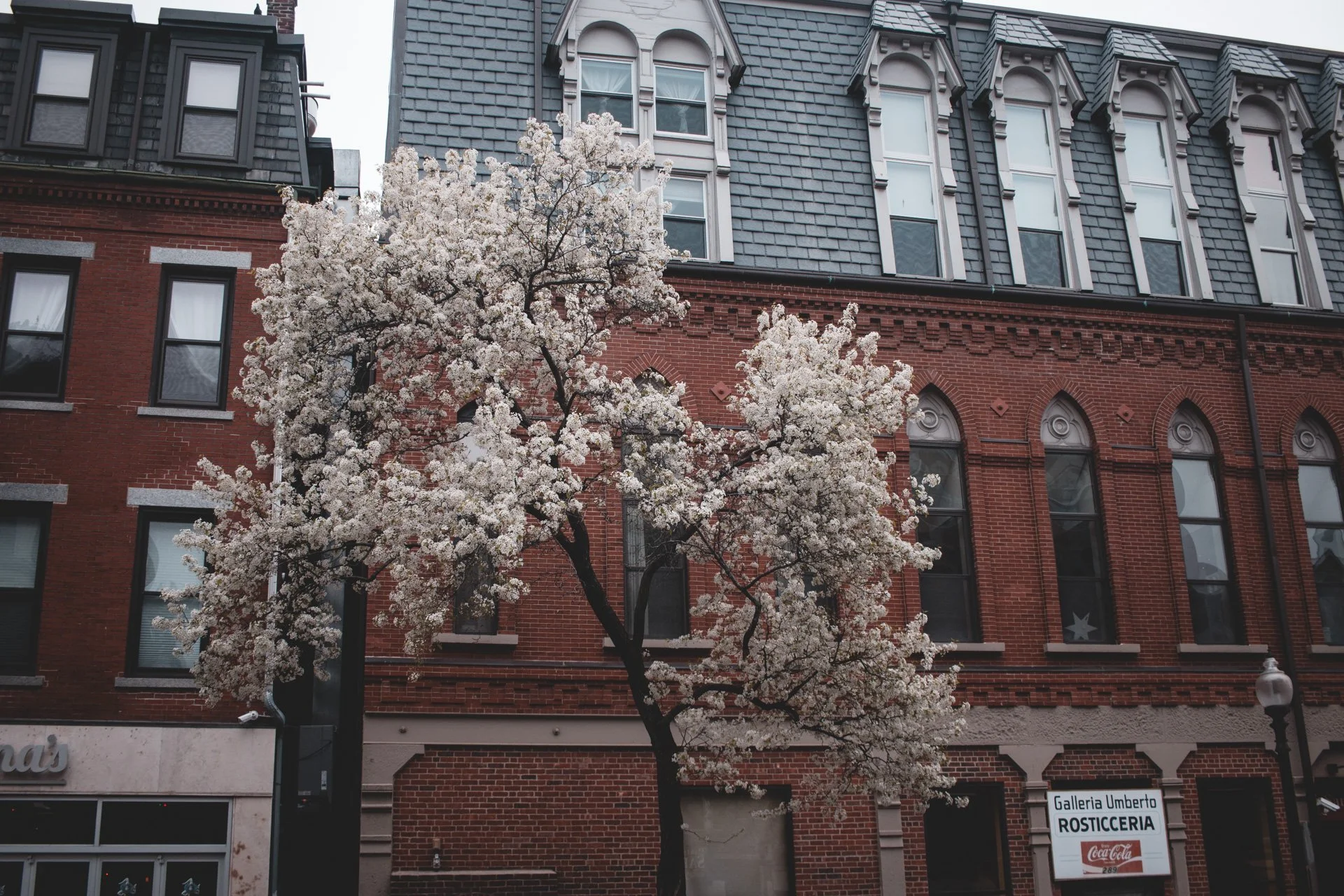Boston-30.jpg