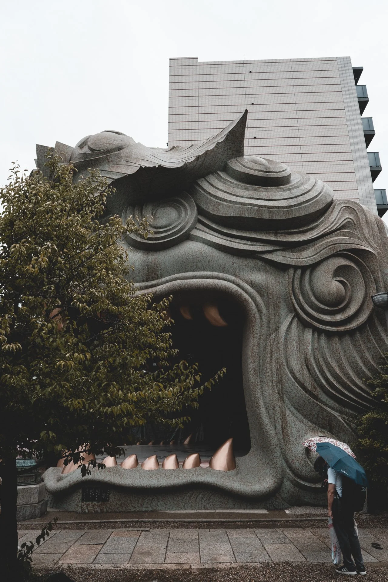 DSCF4015.jpg
