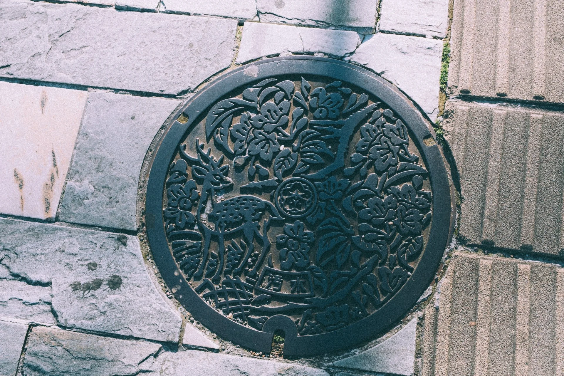 DSCF0267.jpg