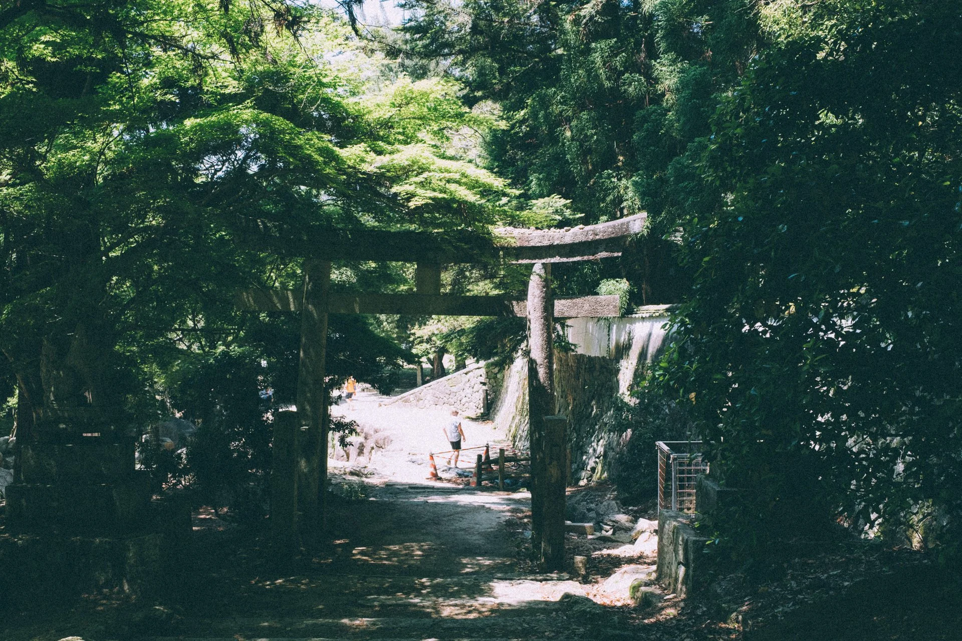 DSCF1704.jpg