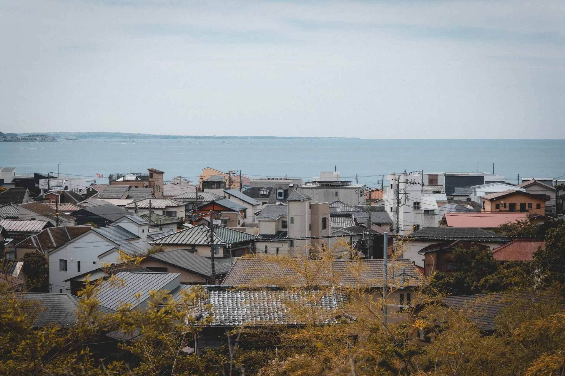 DSCF8356.jpg