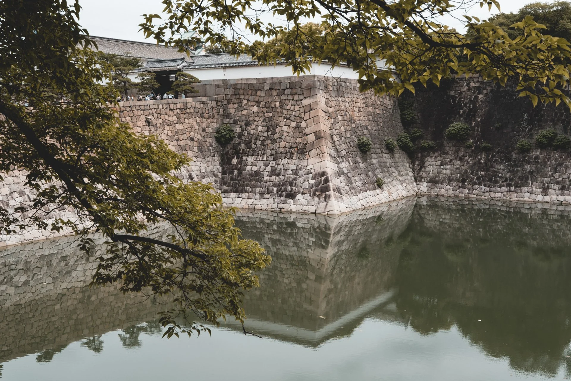 DSCF4322.jpg