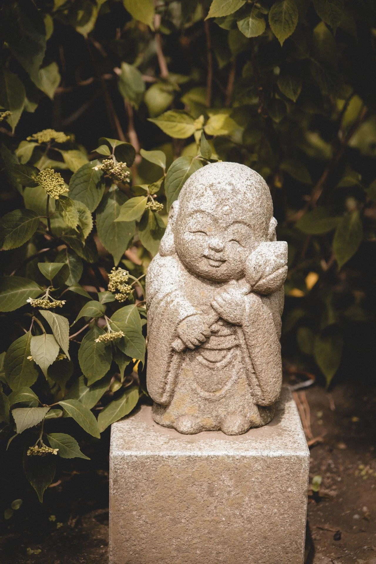 DSCF8319.jpg