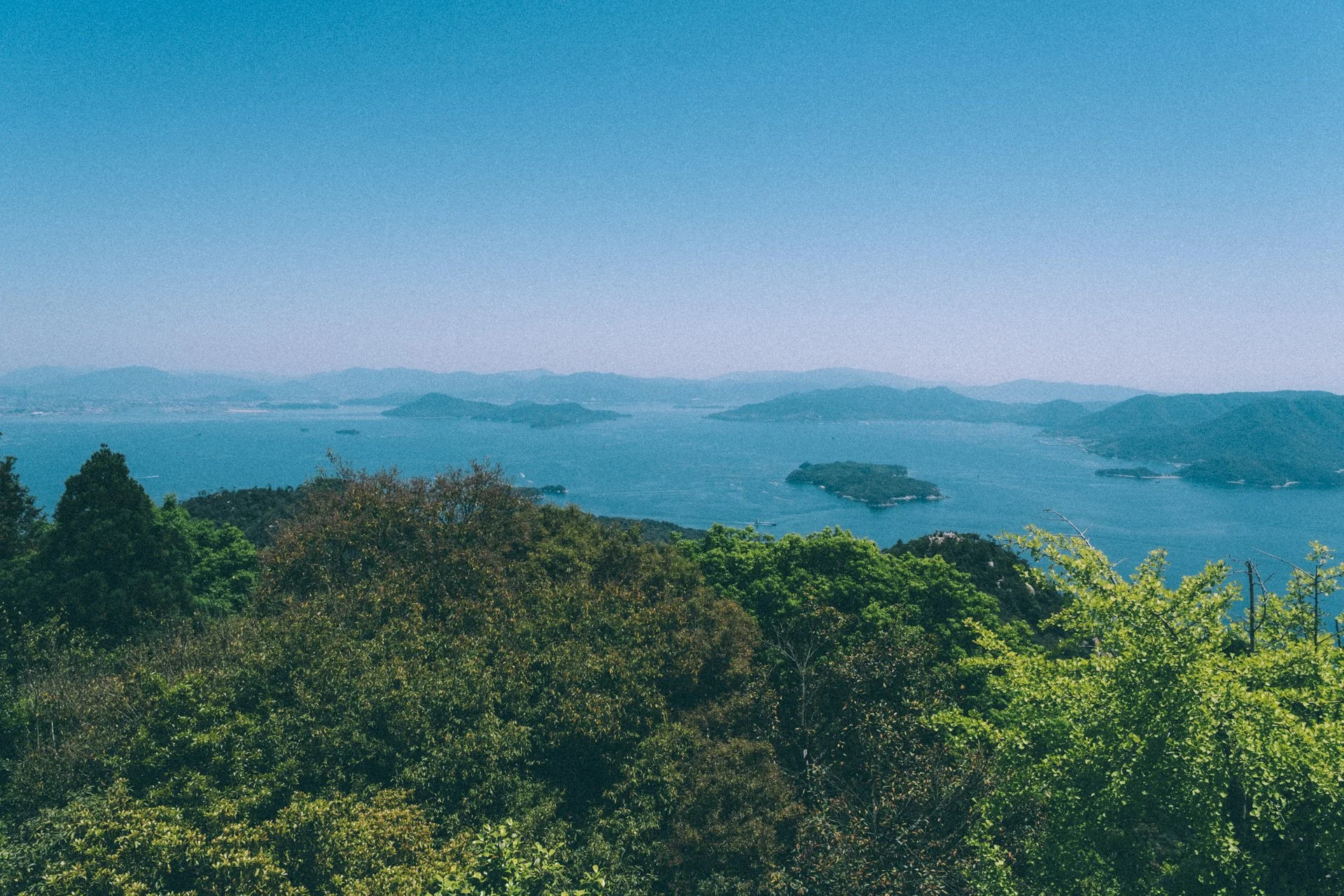 DSCF1576.jpg