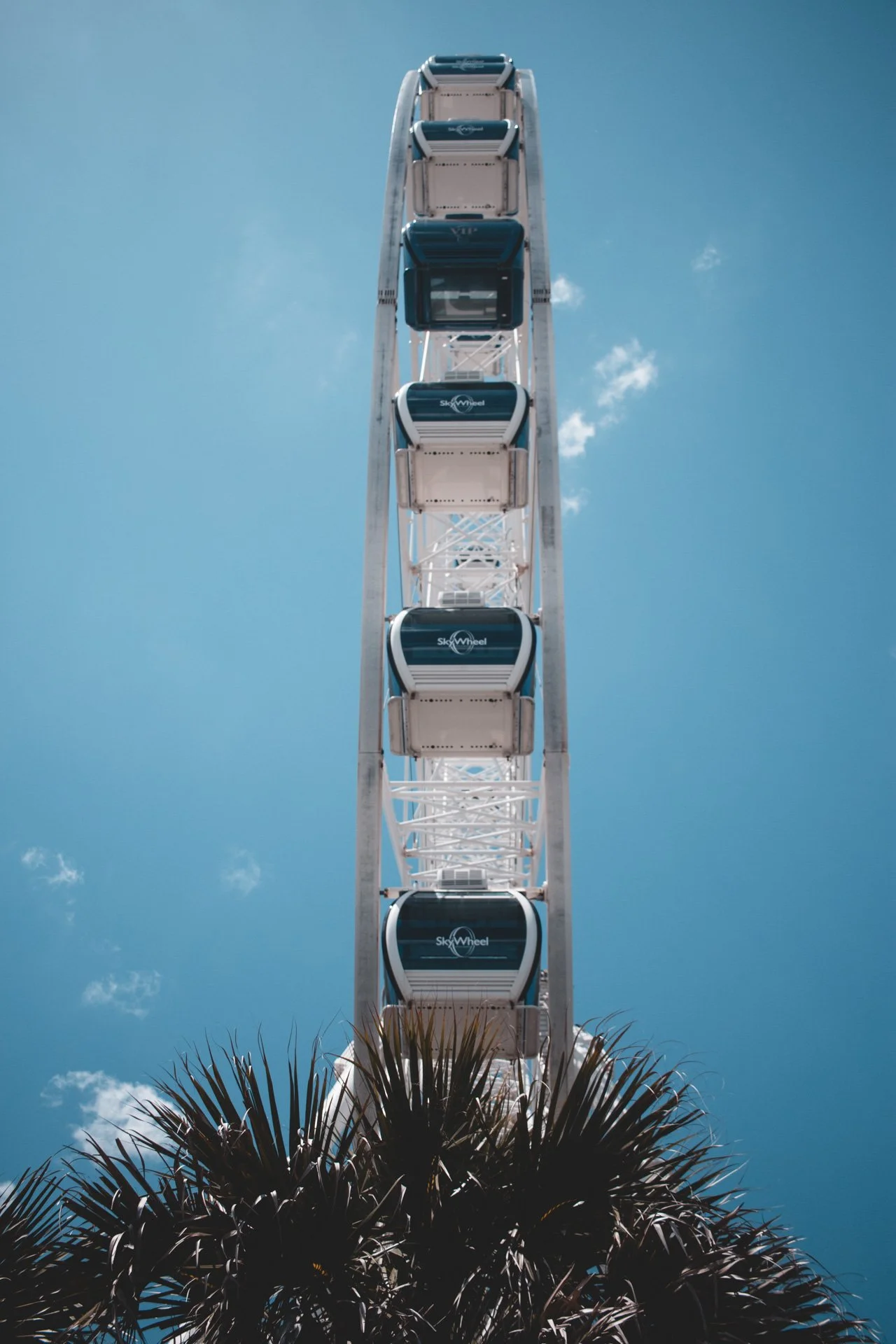 myrtle-296.jpg