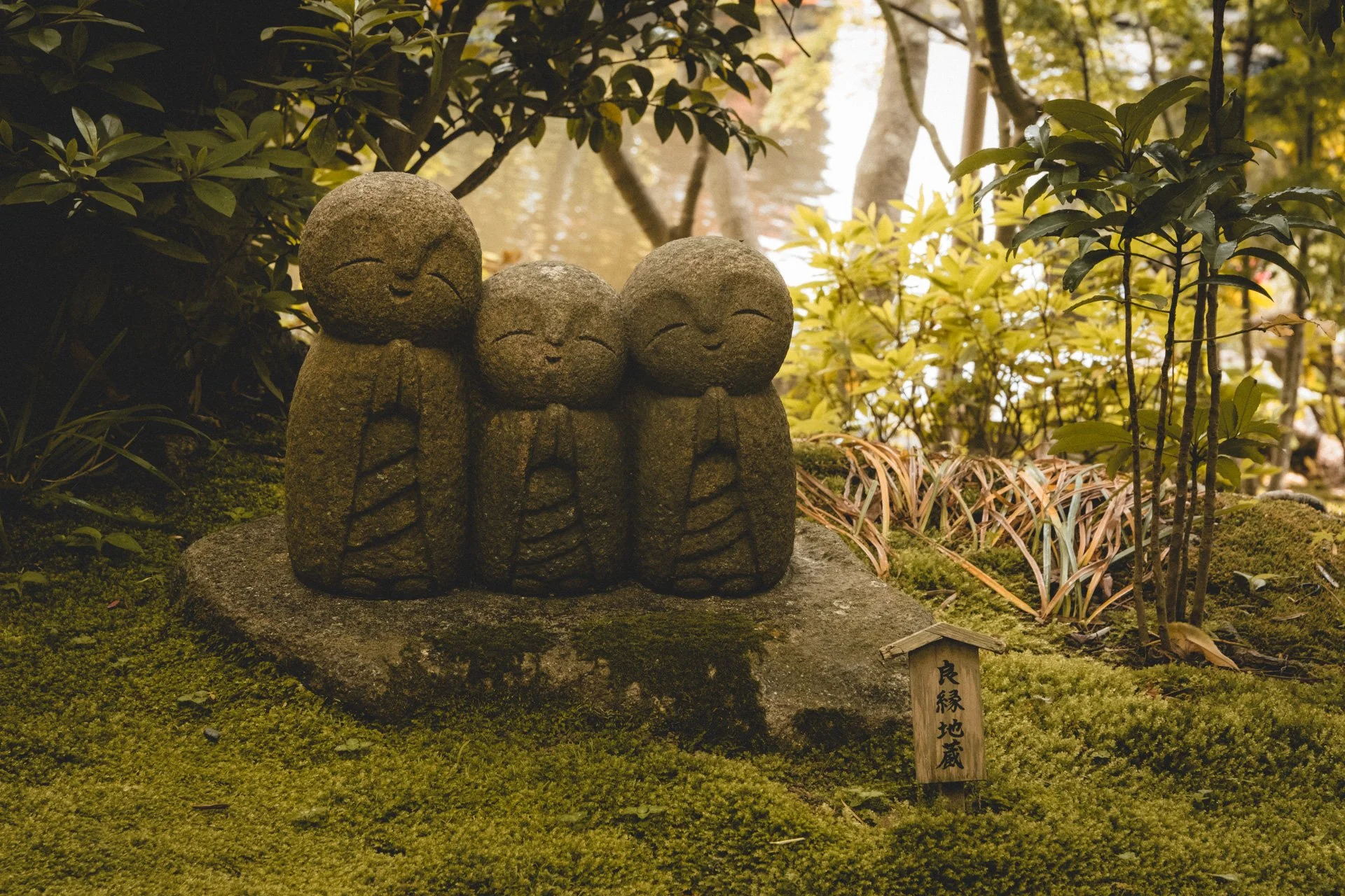 DSCF8325.jpg