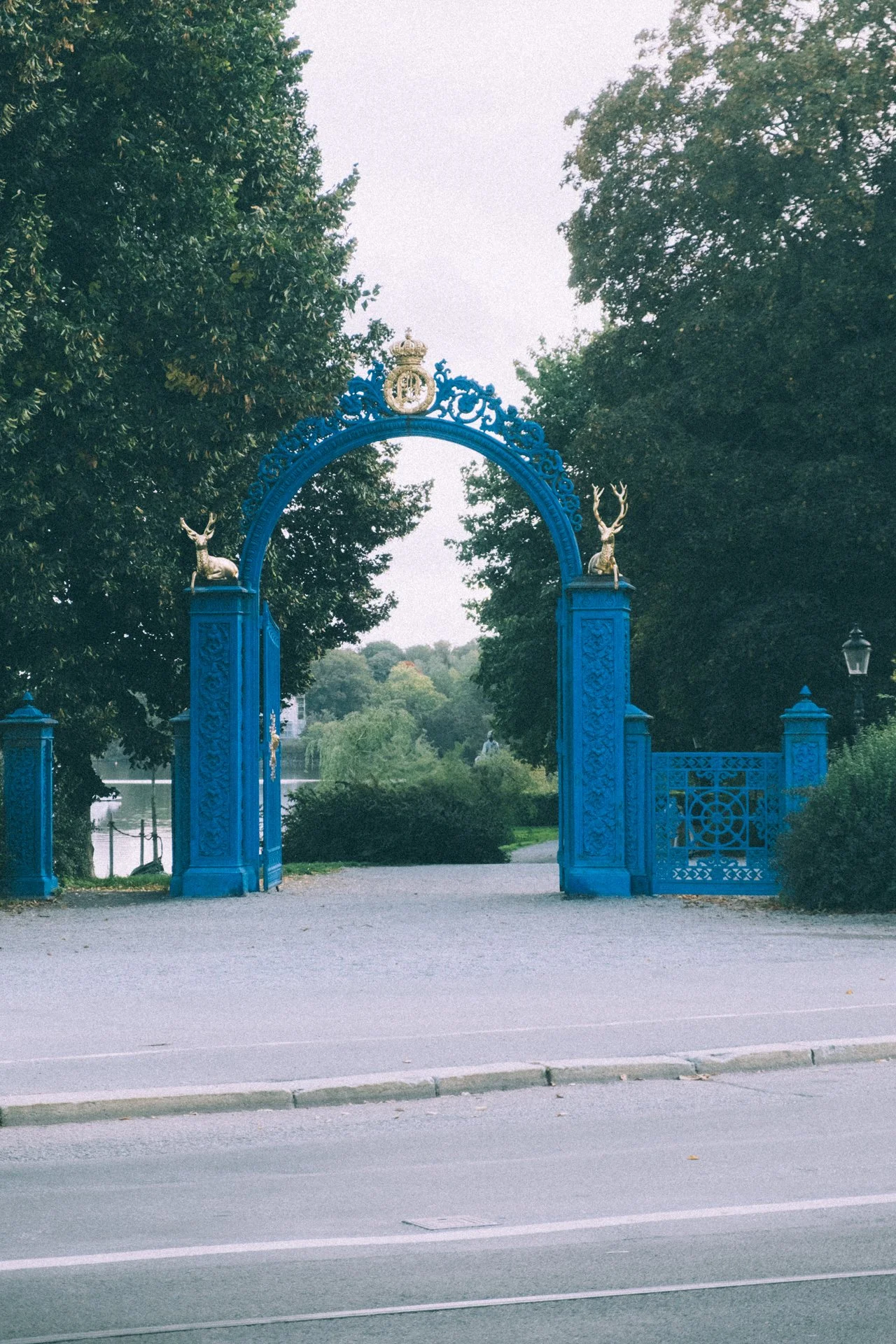 DSCF6016.jpg