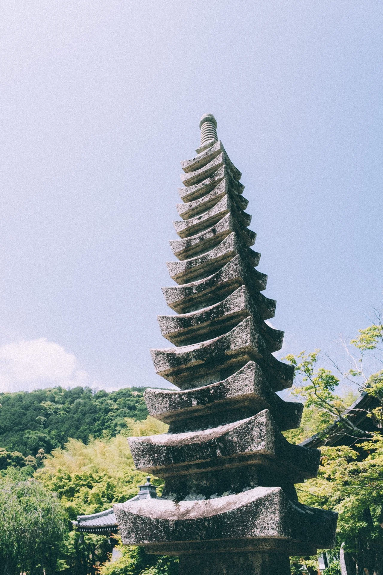 DSCF0817.jpg